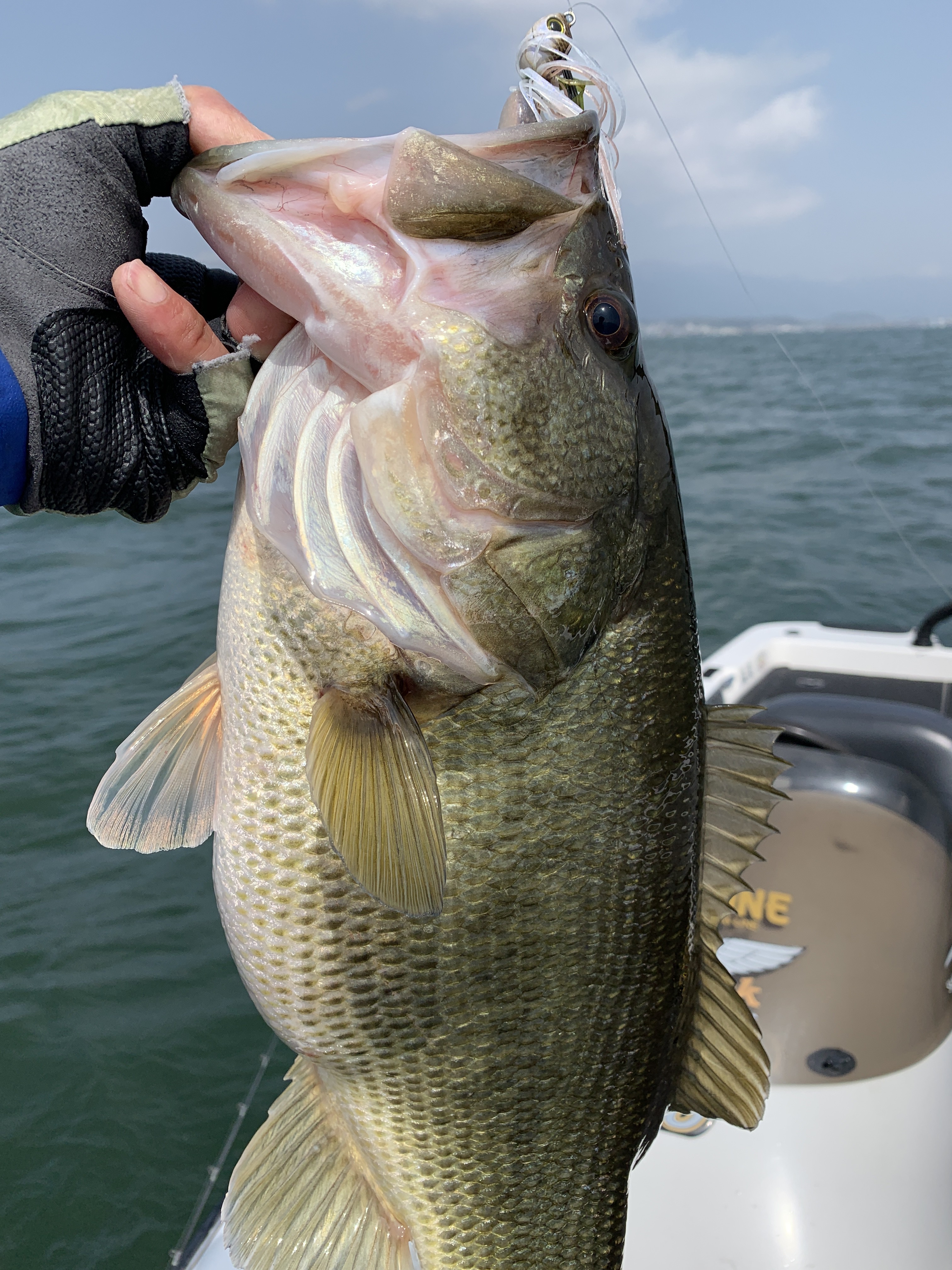 2B1D4BE6-E1A5-4E84-8F83-74C759775733