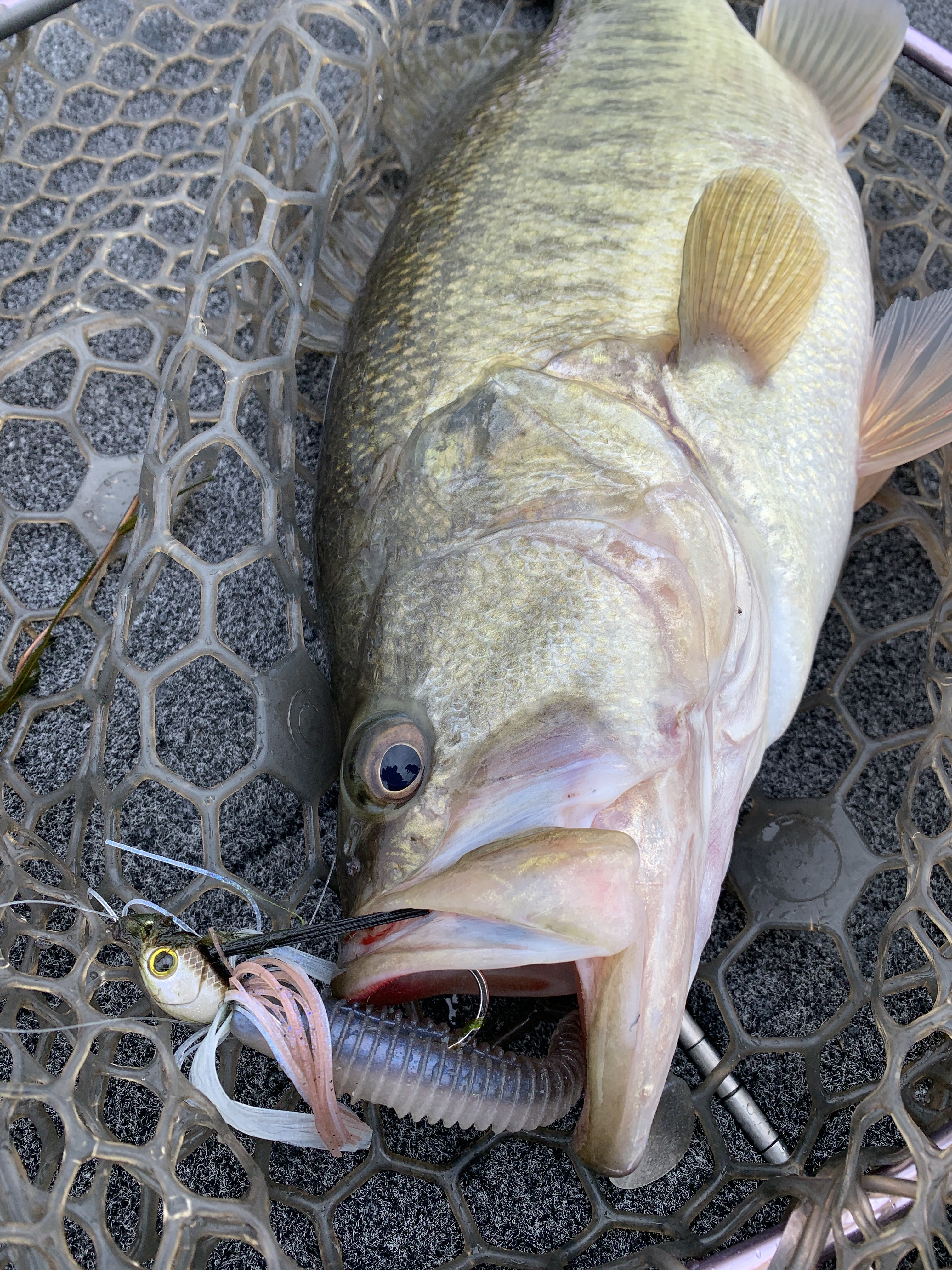 30550899-AA07-4E8B-8386-B0081A18BCF1