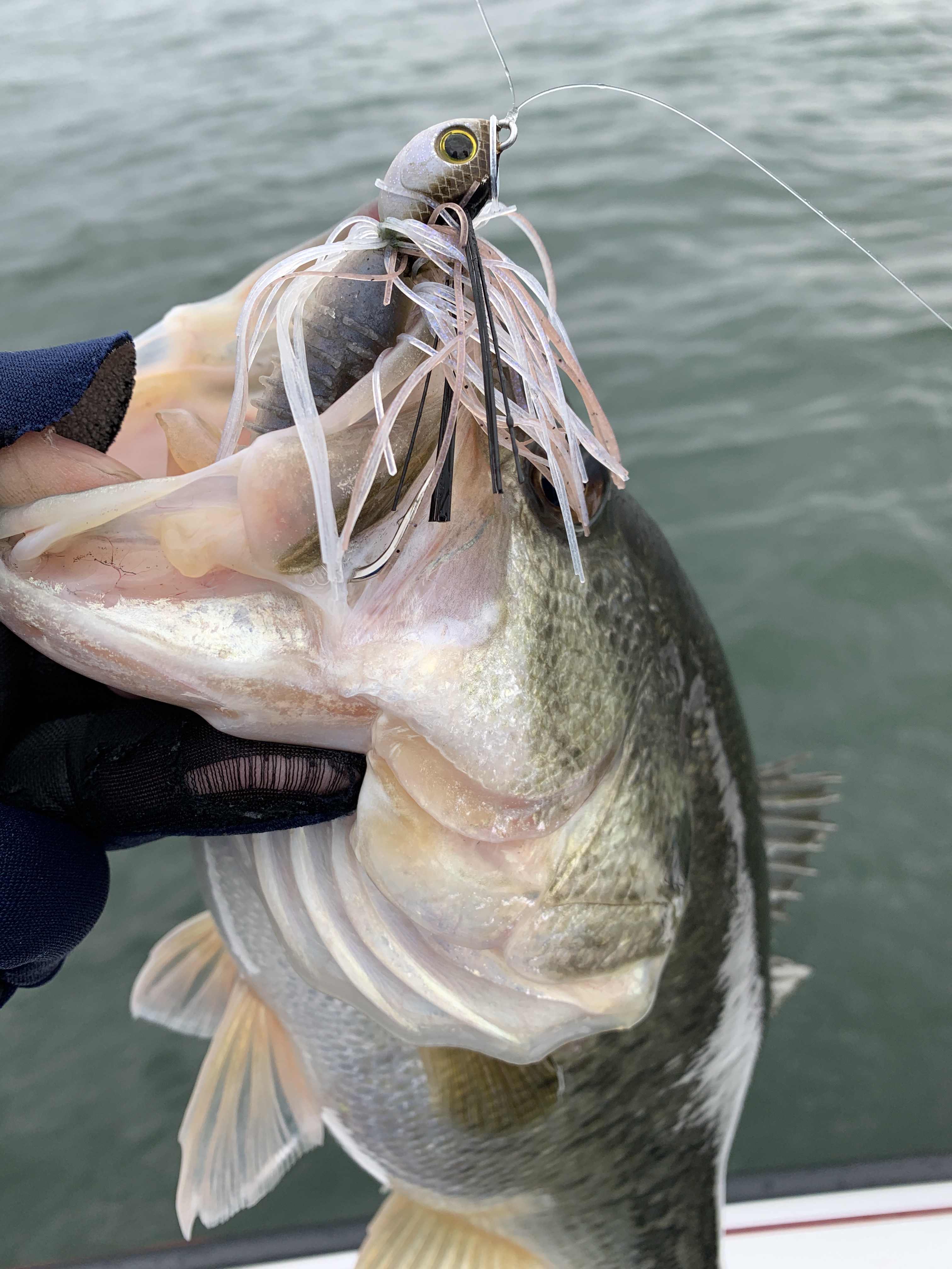 45AC3233-0F88-427D-91FB-9FD69F7EB86F