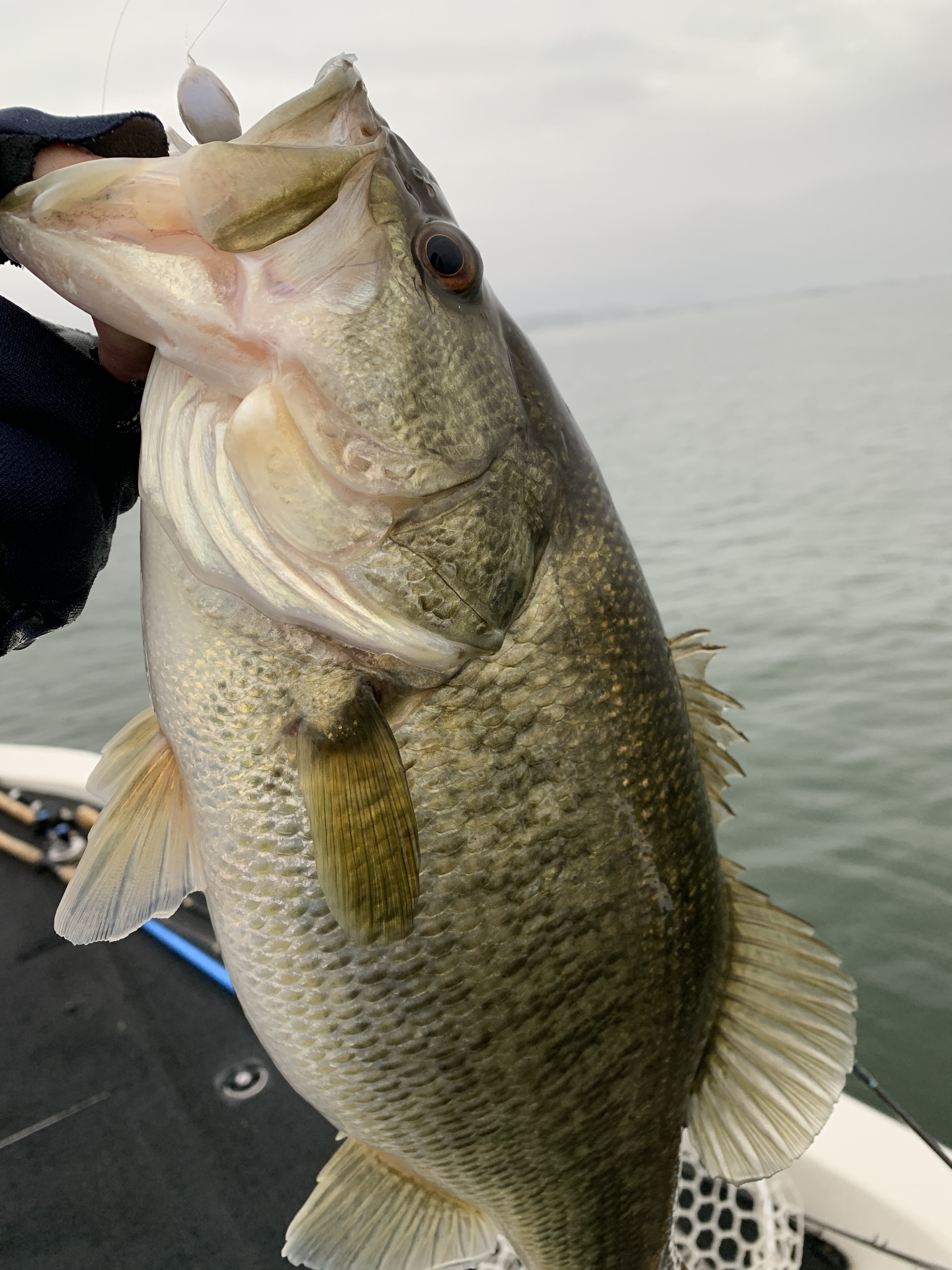 50DE69F4-7C03-466F-A1E1-2FCD498D703A