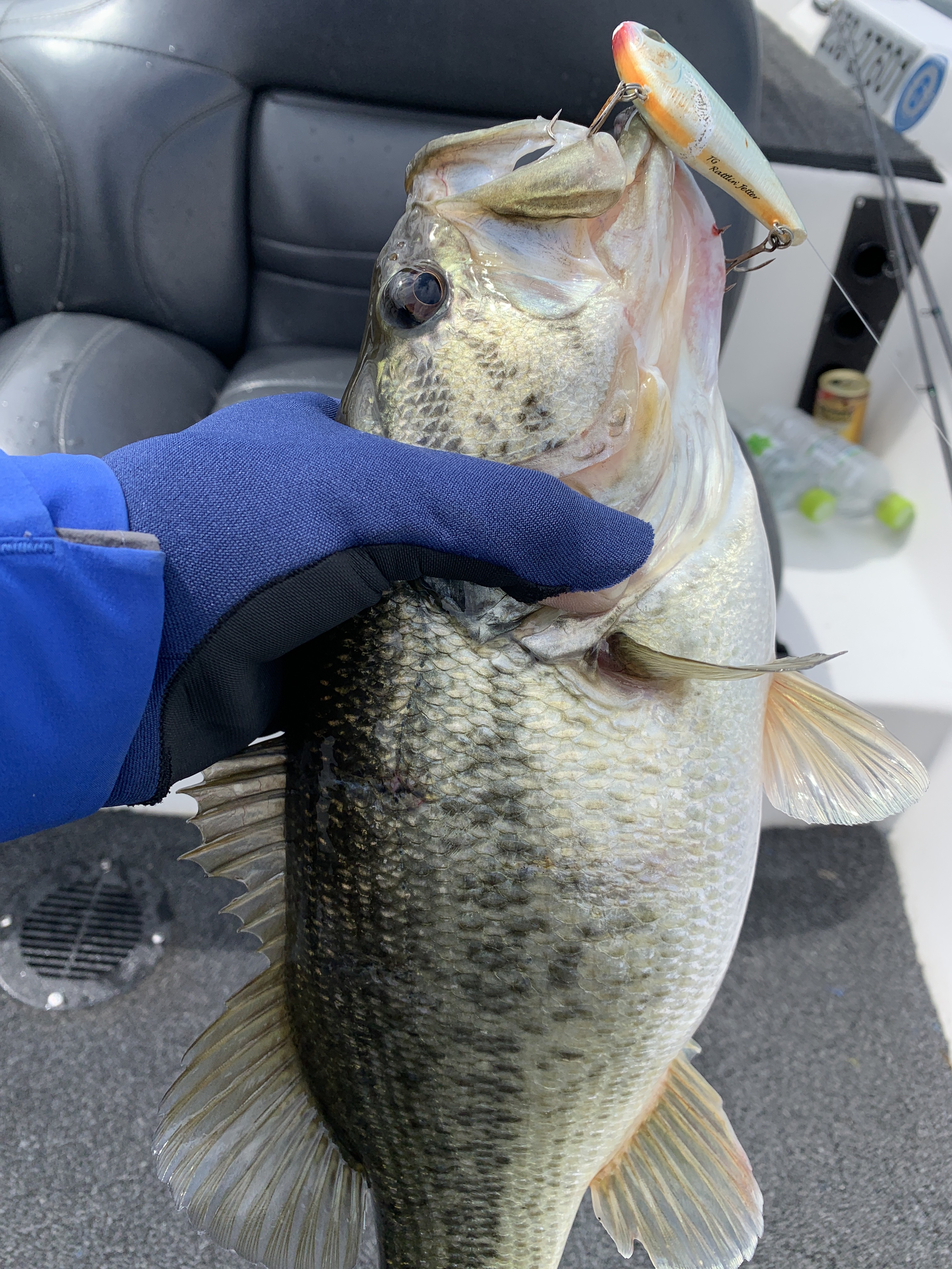 6AB4B520-9A3B-4E77-8B92-F71EFE3CA7D8