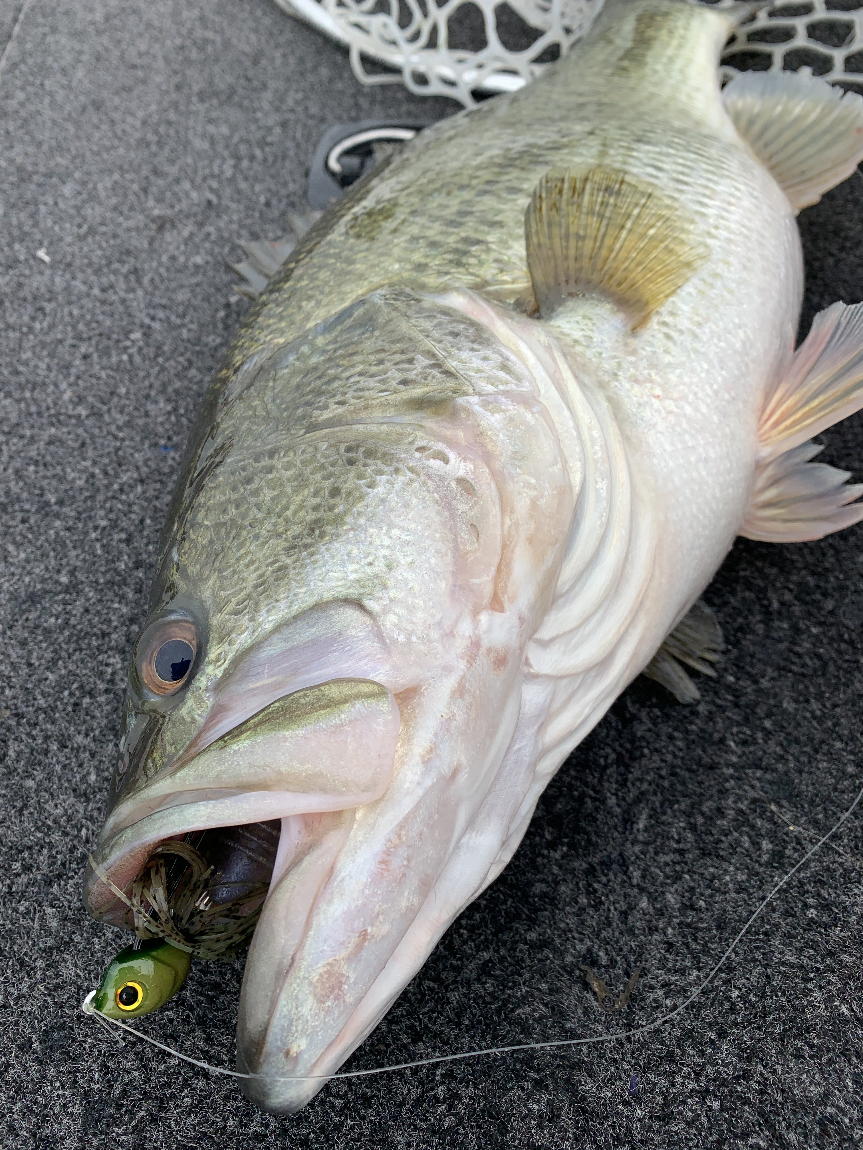 6E0D7549-861A-4B0A-9D99-AFE8A78657C6