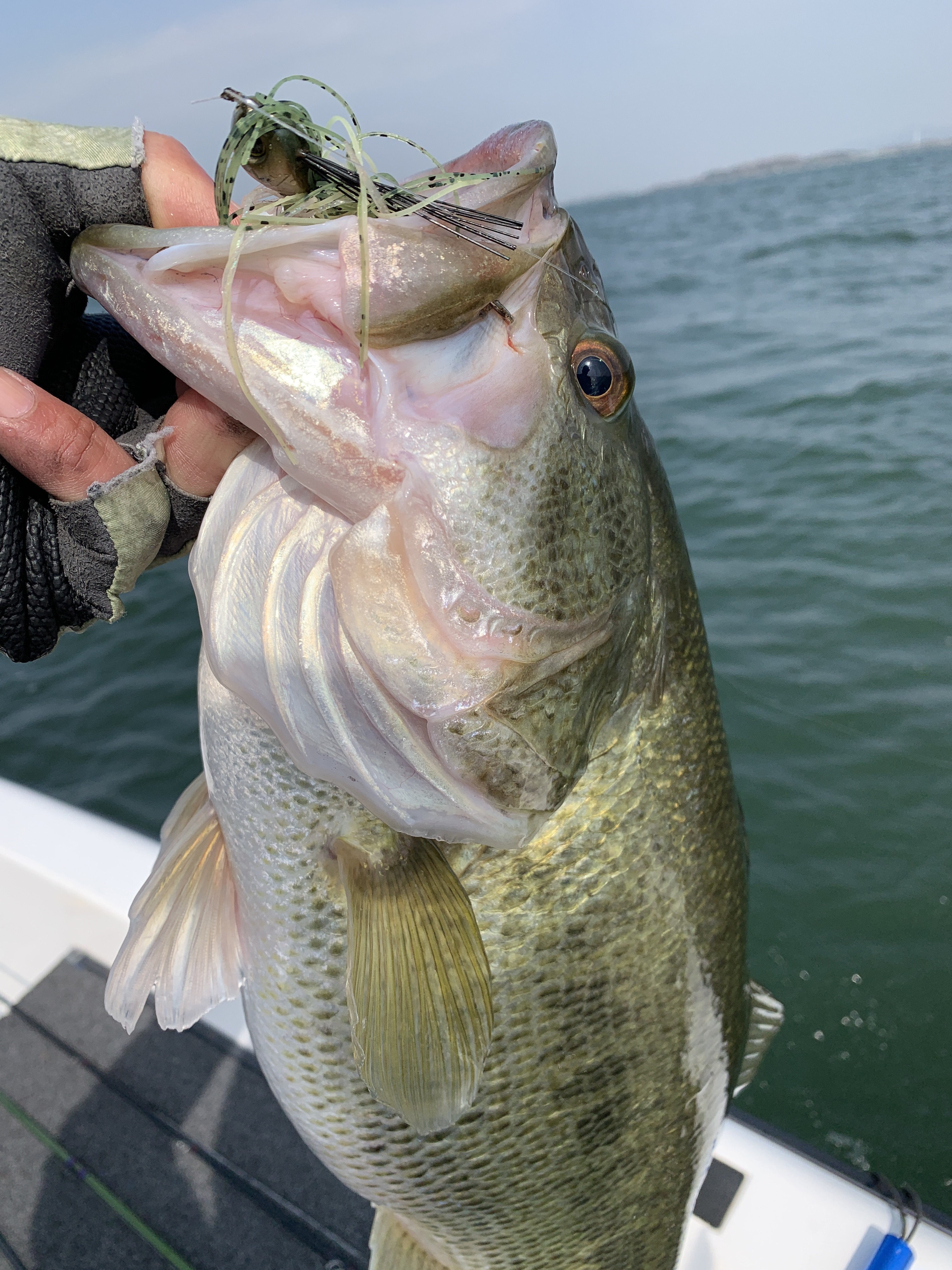 7F4892AB-1DDC-44F0-854D-CB6167C9571F