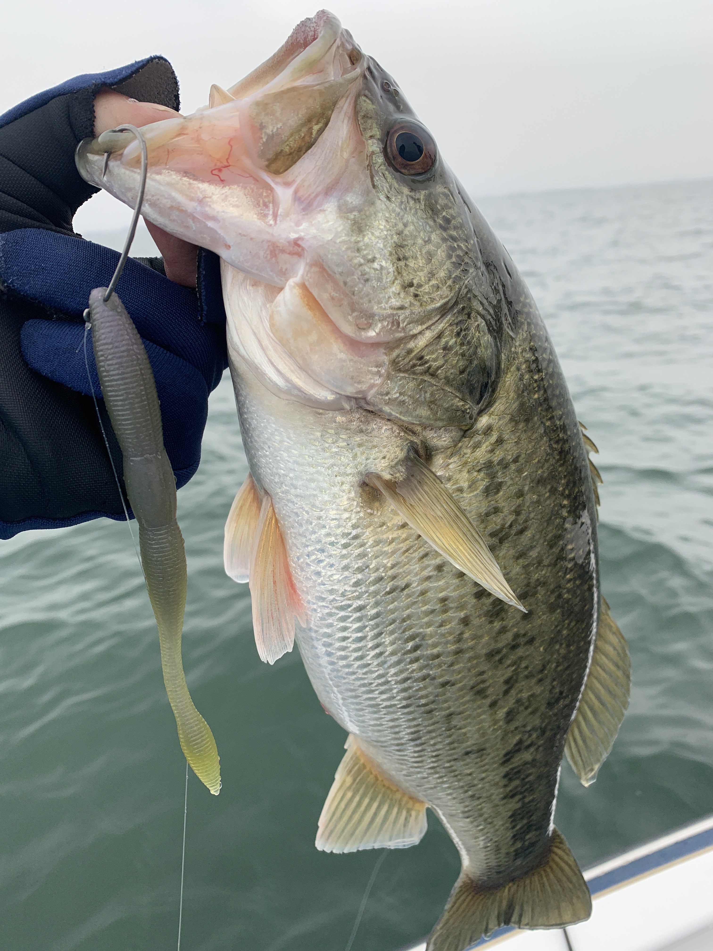 967280A5-60DA-41E1-94C5-2938397BF235