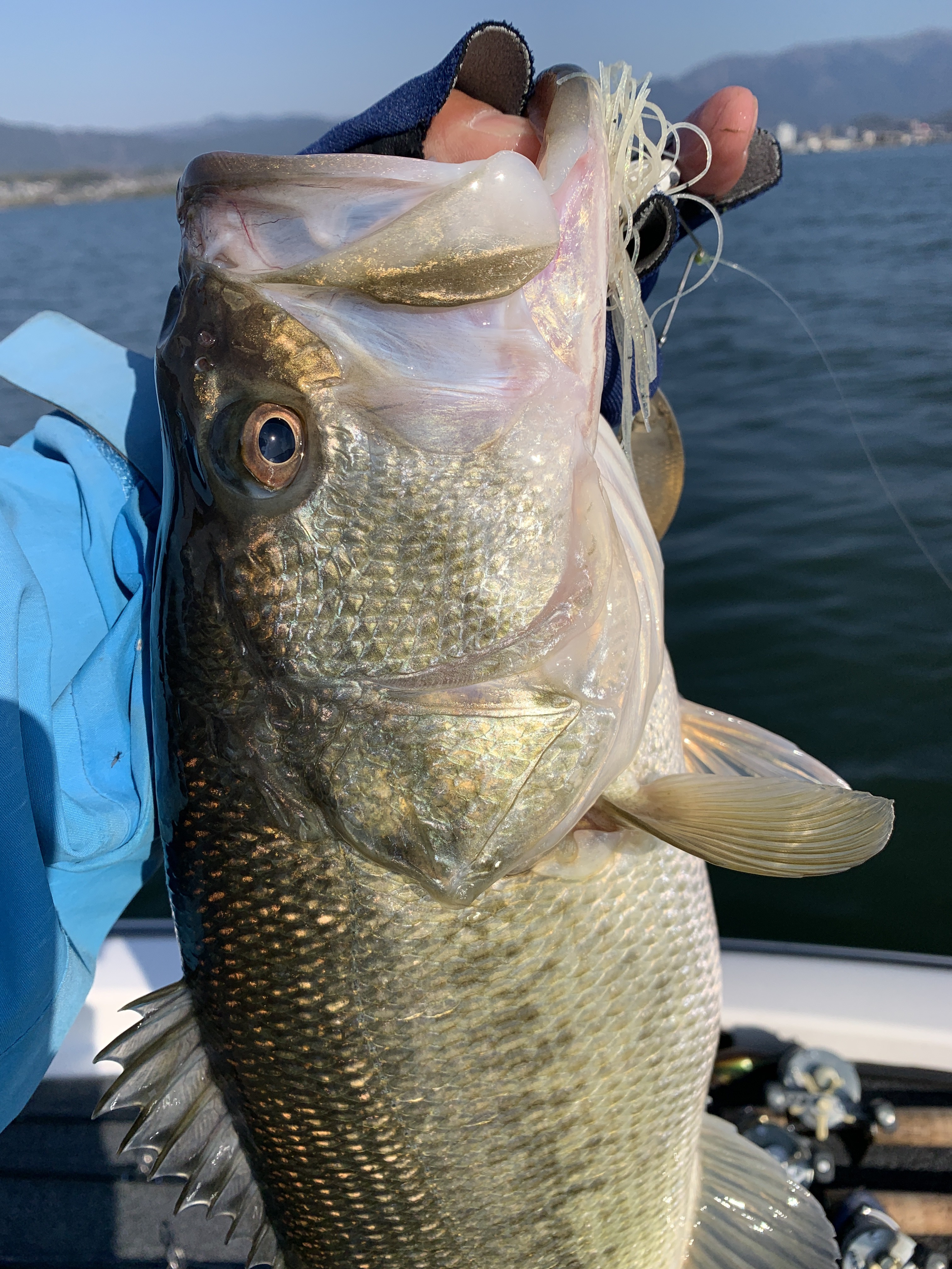 A9BBC909-9778-4541-B9B7-1AA67FA75C00