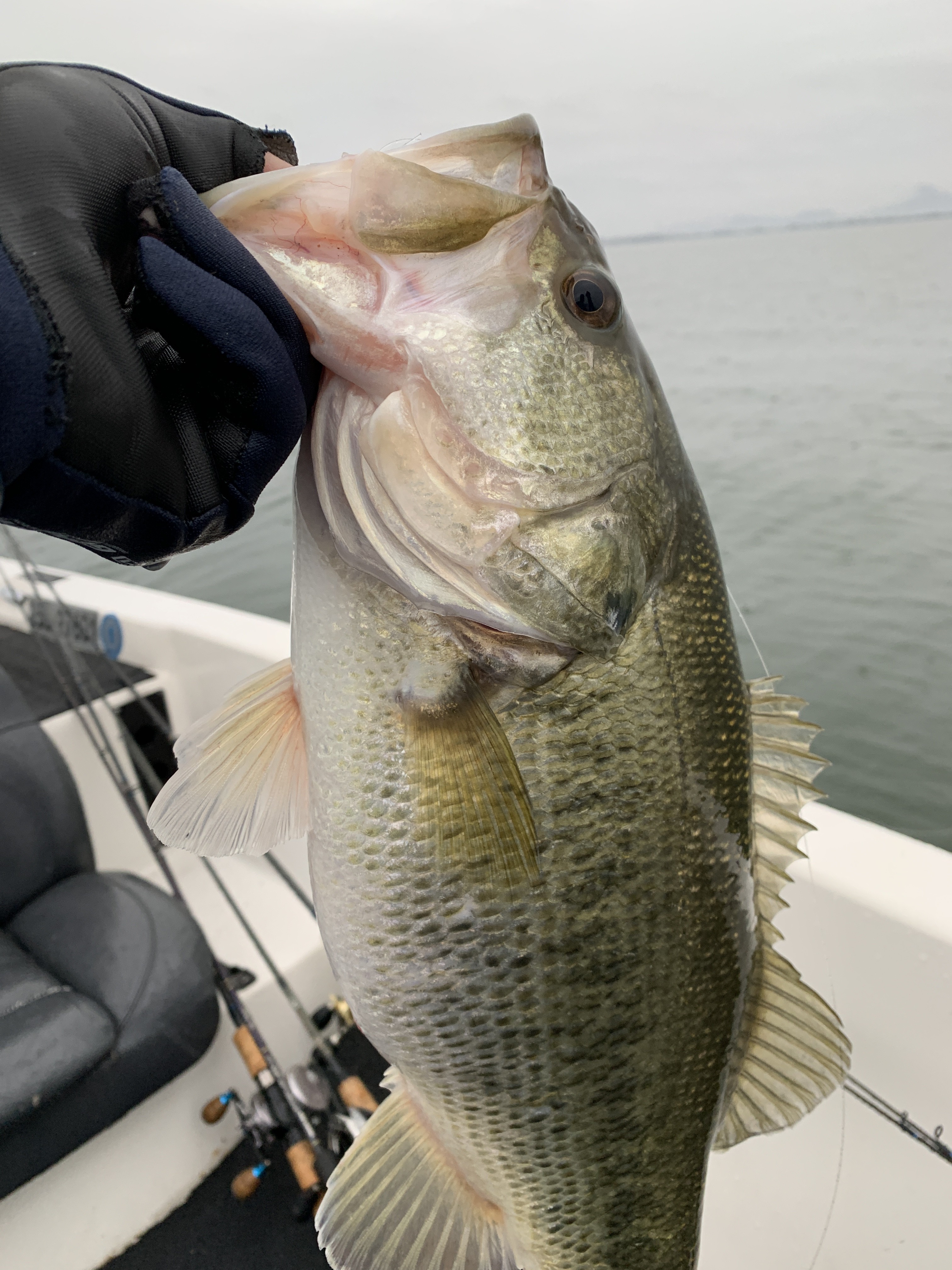 D2526549-0959-4C99-AD68-109B8D72A56B