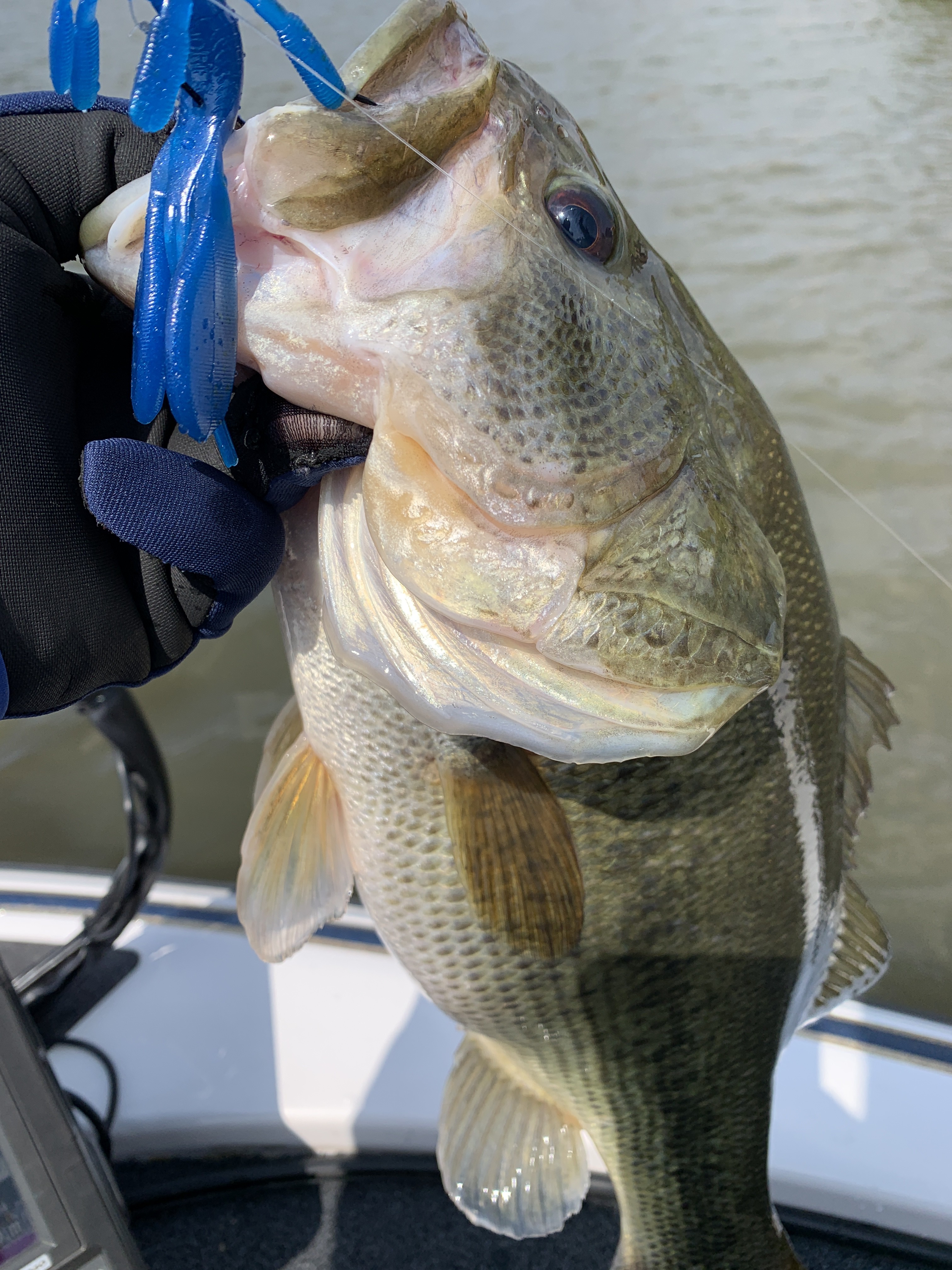 E06542F8-CAAA-48E5-B18D-494D4AE679E9