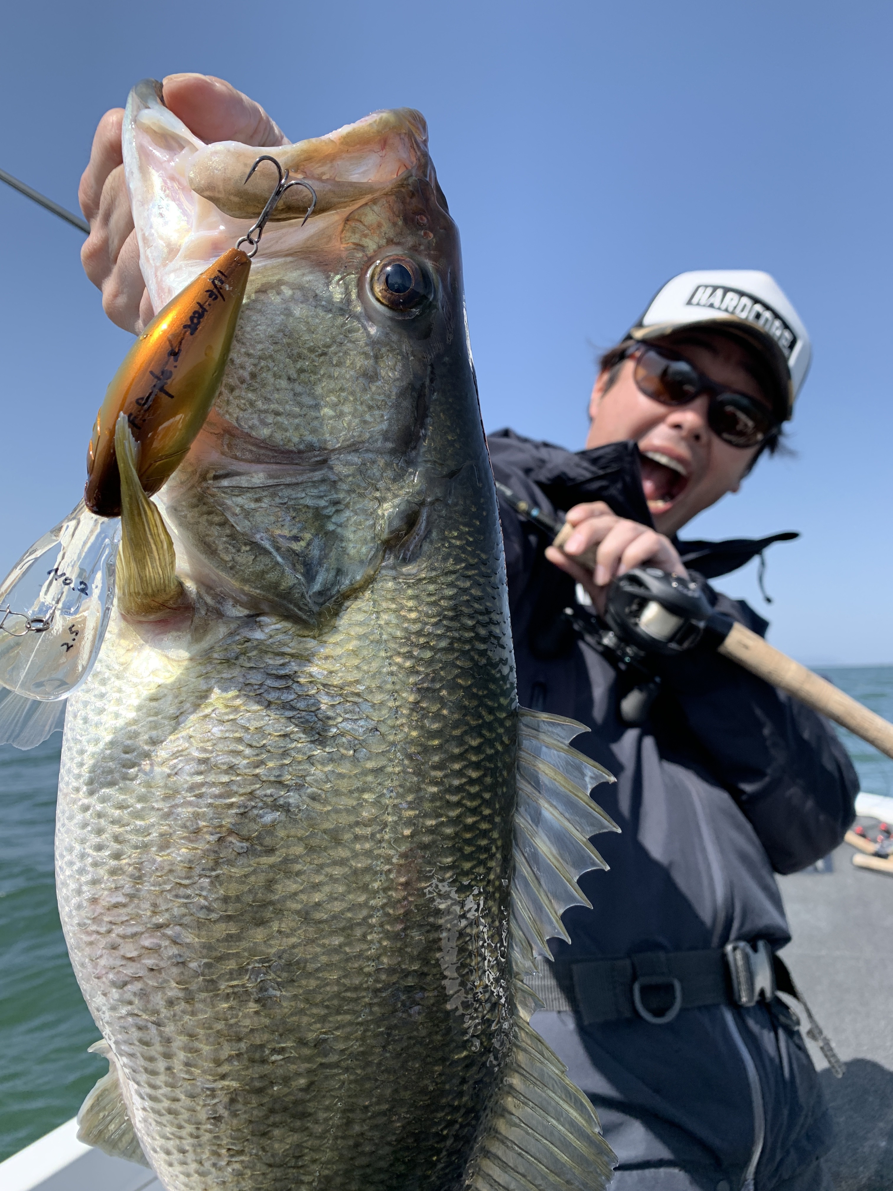 E38BC328-BF29-4F72-ABFB-C3F812CD29C2