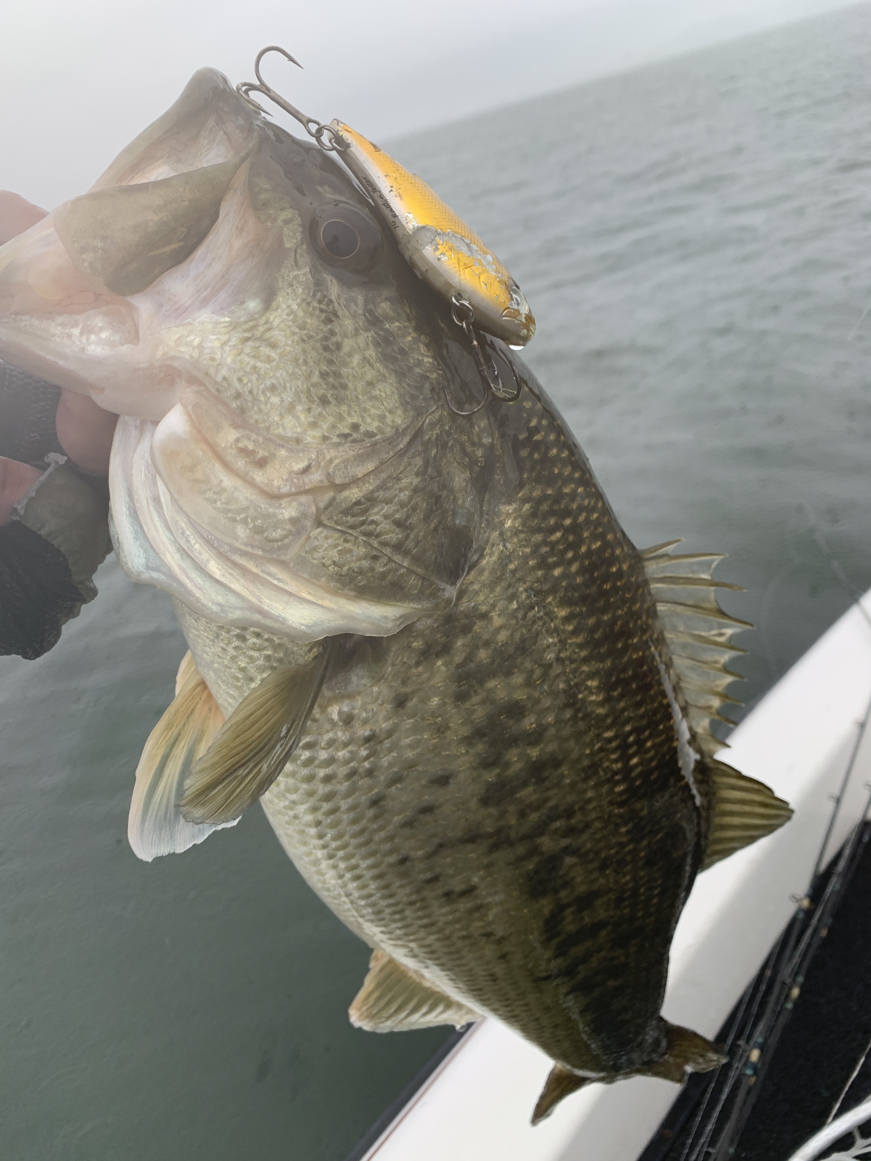 E7B446C2-9B3C-4D9E-9ED5-4A0AFF6BAFA1