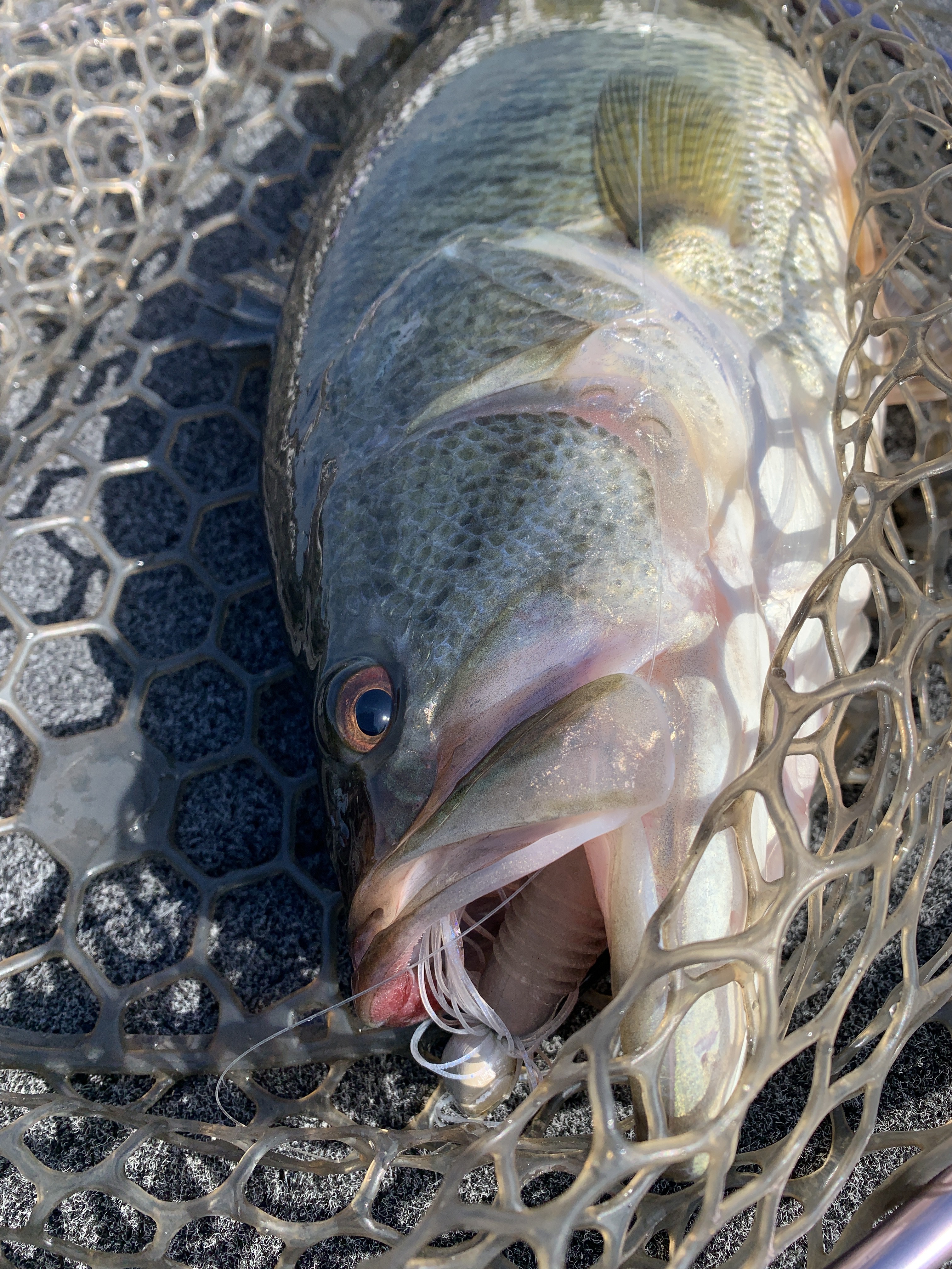 FC70E4AC-B45A-43C4-BA76-A4F10D884B88