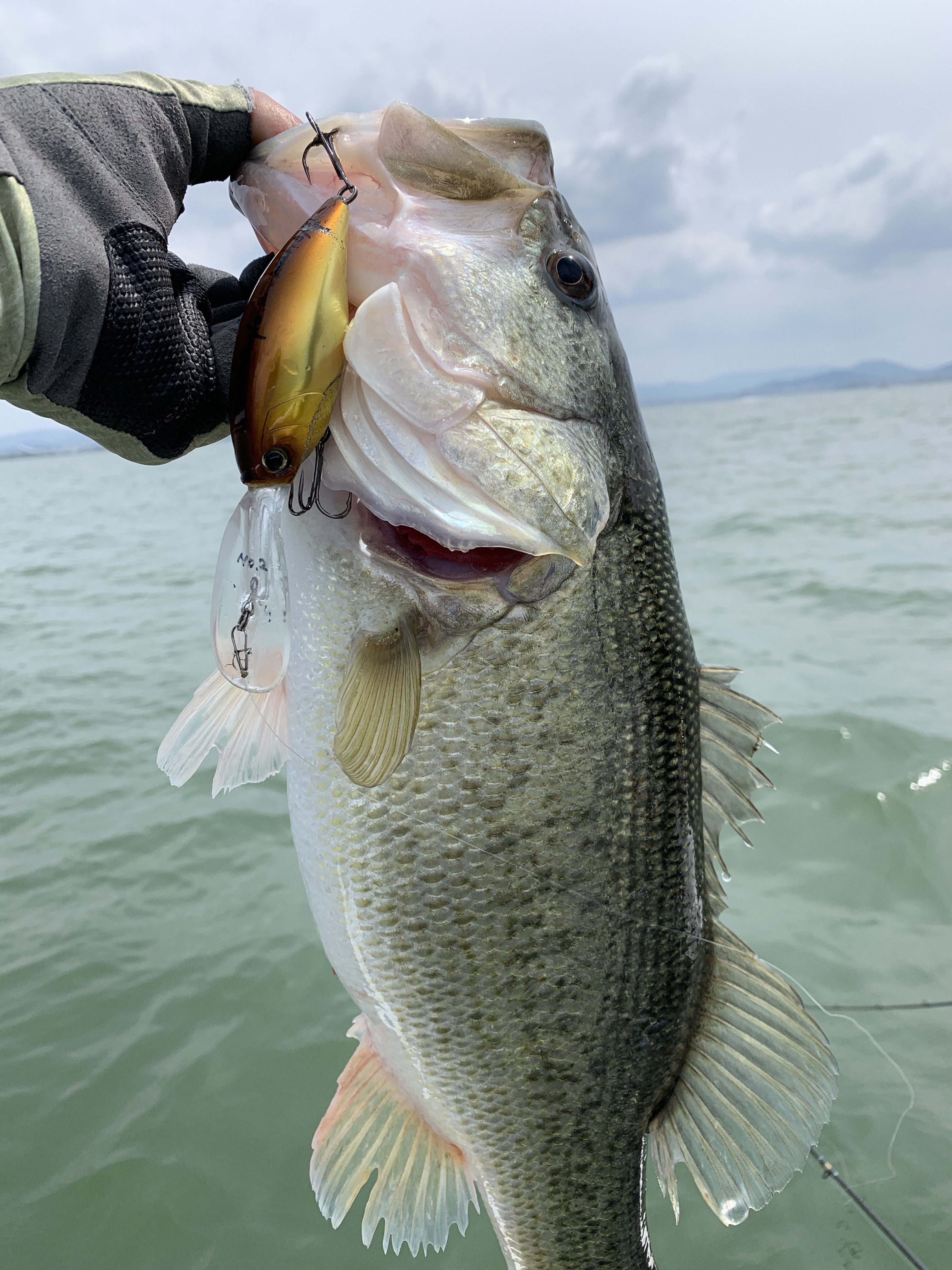 06321CBF-E784-465C-AAAF-EFEFC5379369