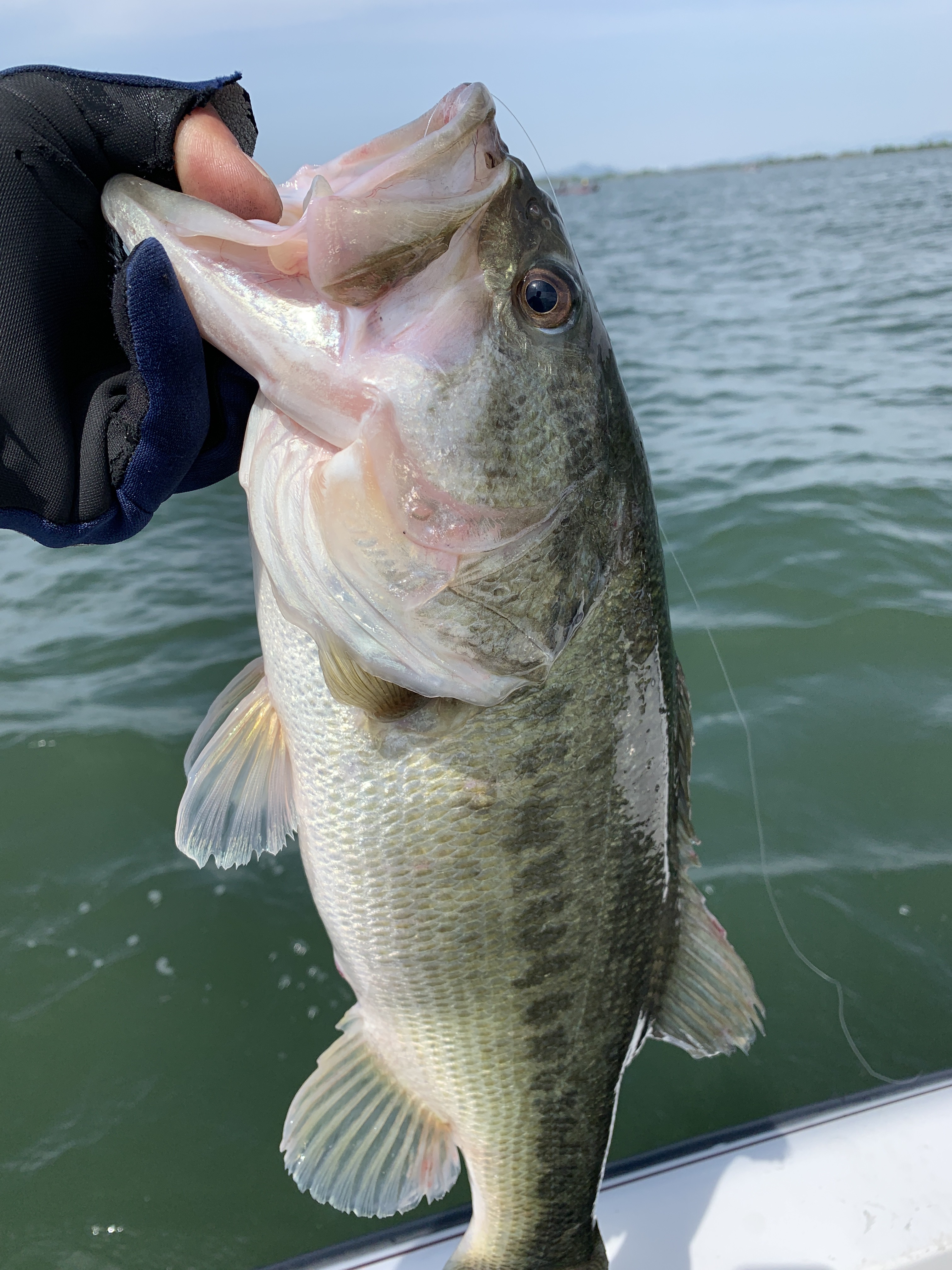 0807358D-5F3F-440F-8374-3F5A7AFD1CE5