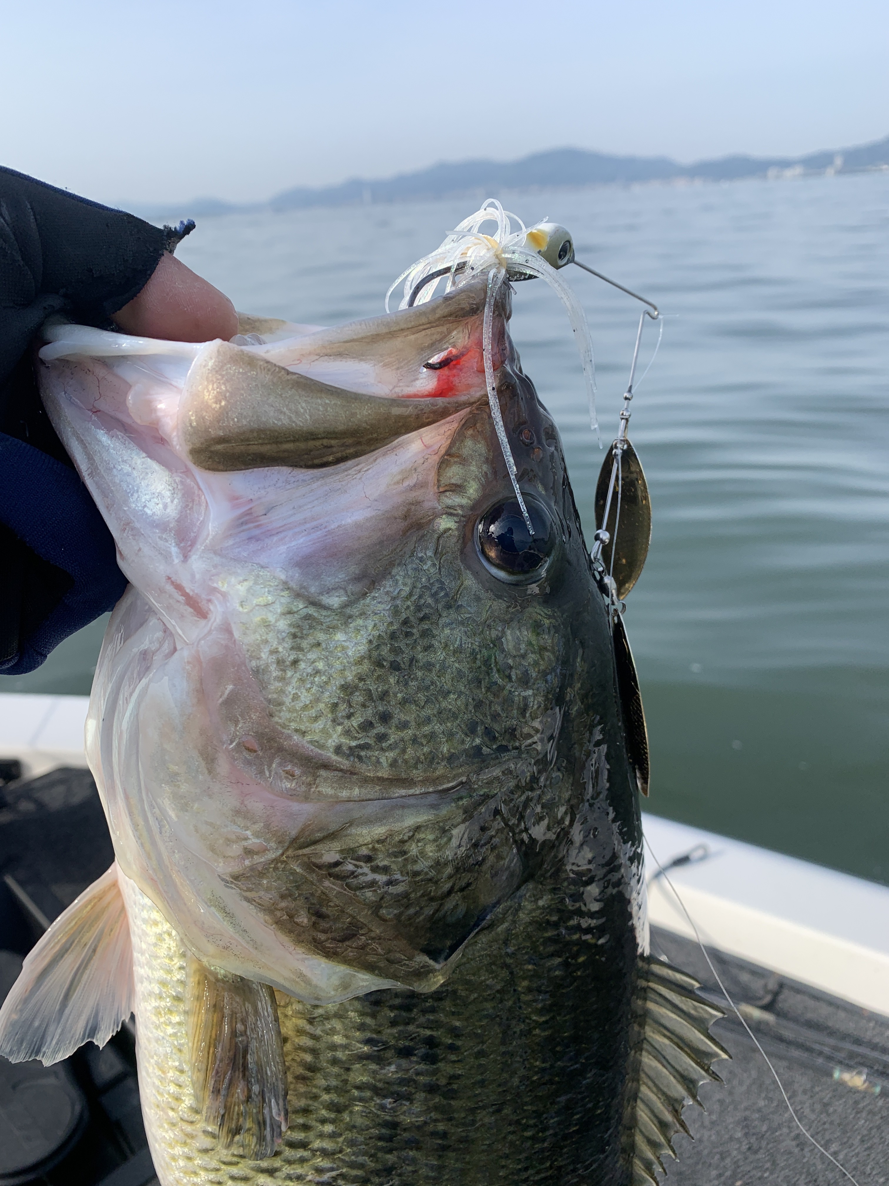 244389EC-6913-4AFD-A49E-1D0F8D1318E6