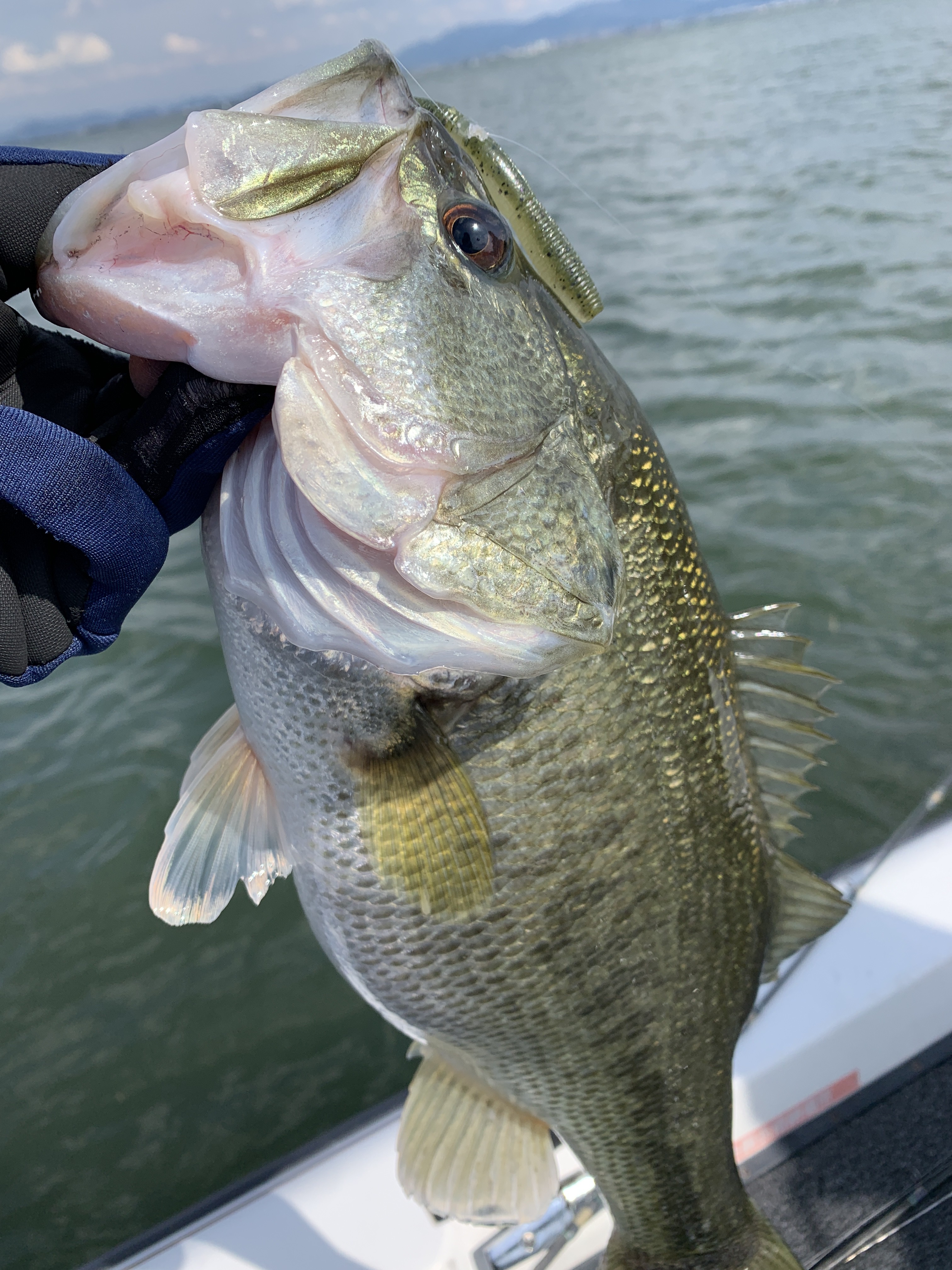 4E572C27-B462-4DB3-9191-EEDEE7D6041B