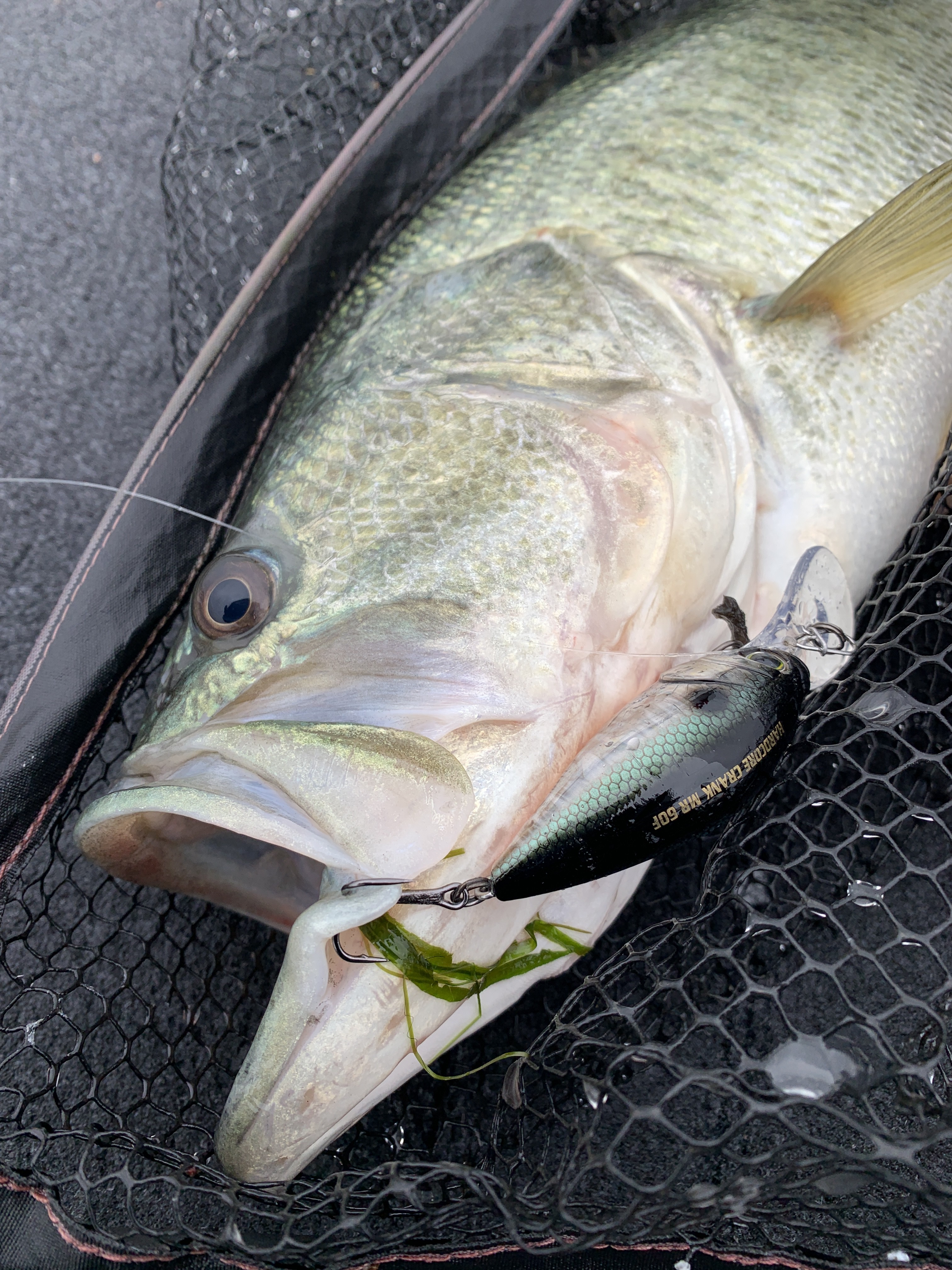 5AFB270A-A4F0-4509-9C6A-2EDD6C9D1CA4