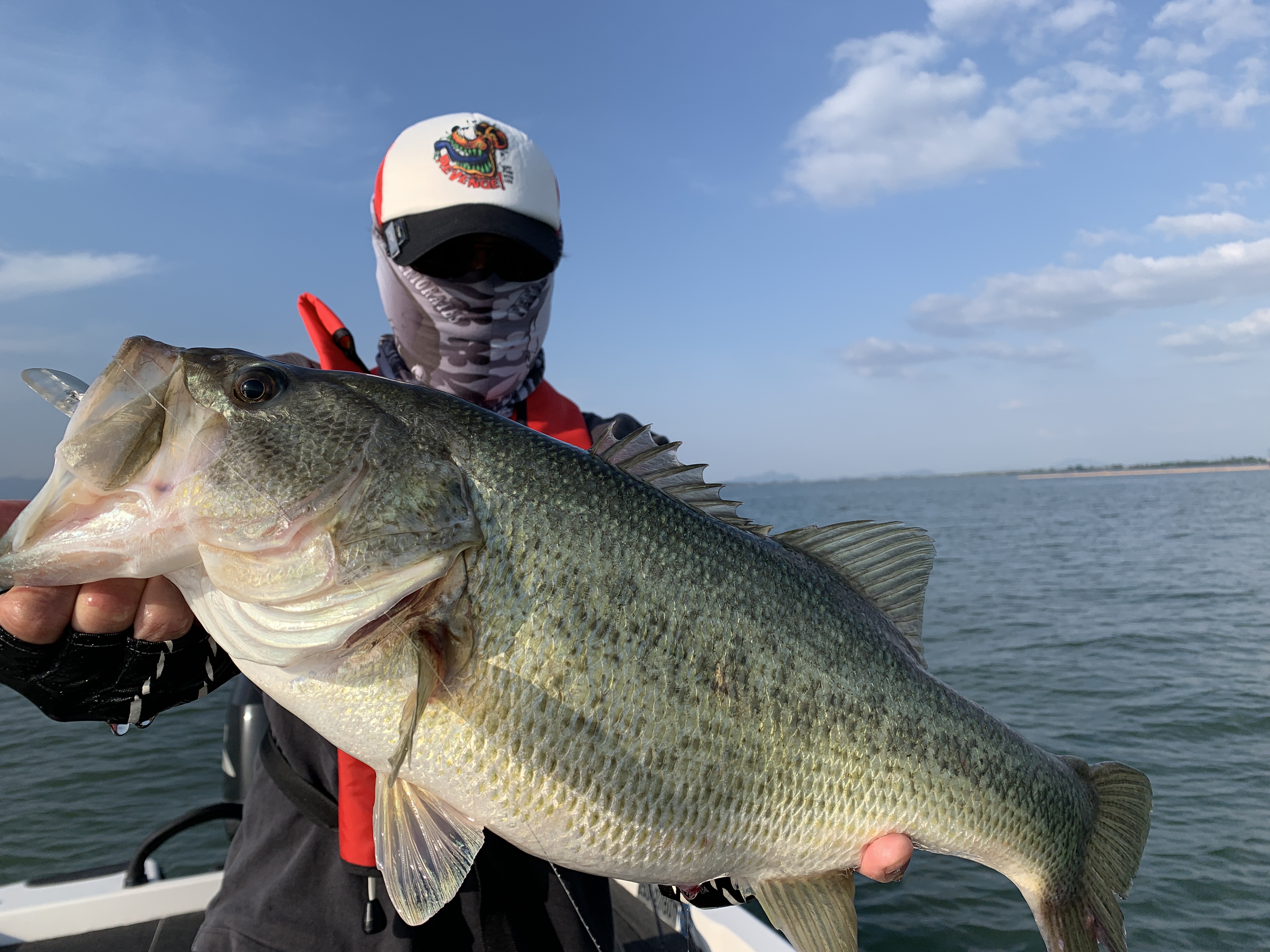 5B7BFDC6-0F0C-437C-9FB6-57D060651D8F