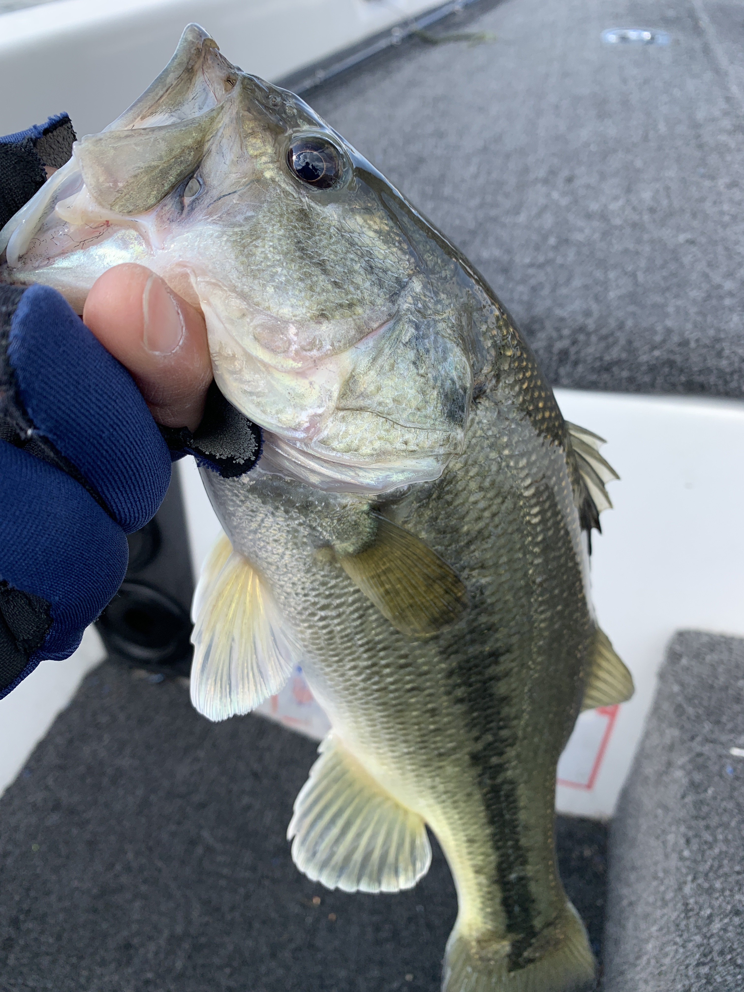 5DA2628A-E172-4061-B477-1347DCB33FD4