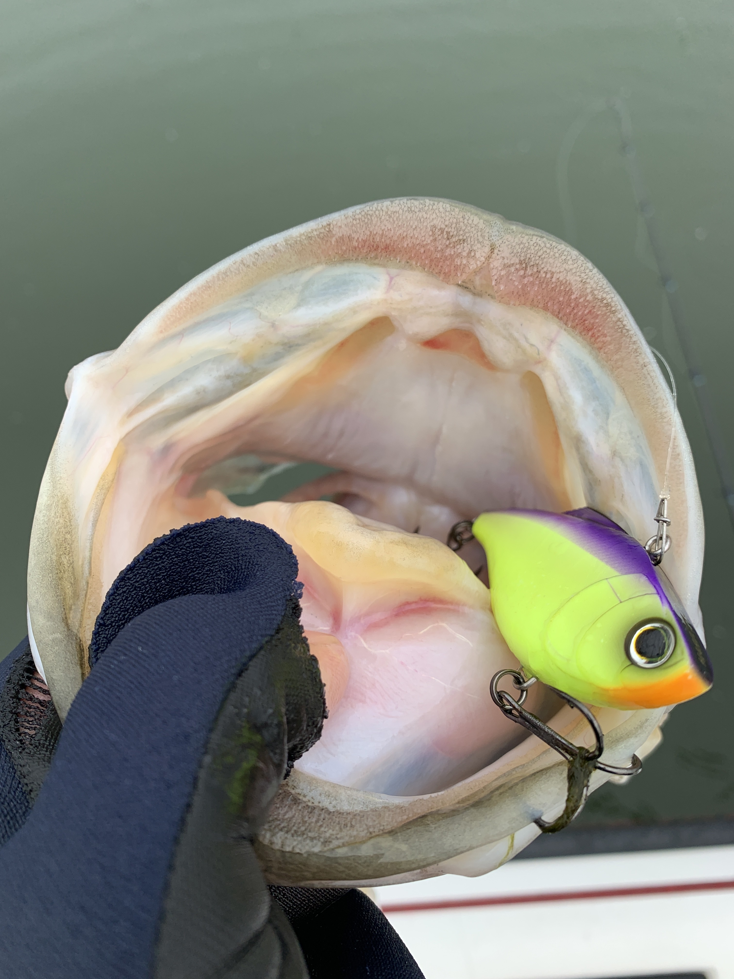 83DD77A1-ECA3-4093-8E94-F2E8AC7BCA40