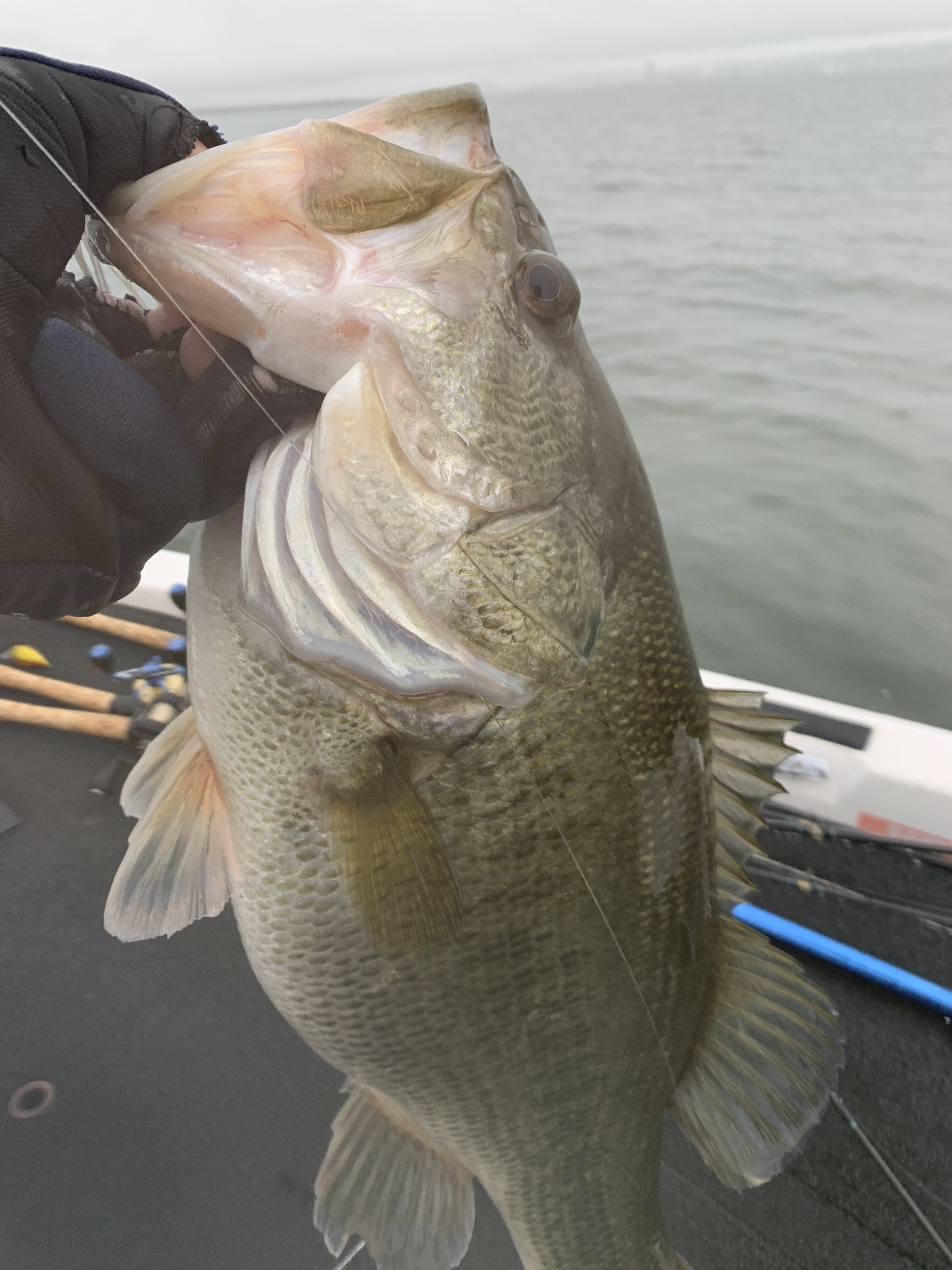 84910D77-C3A1-4972-A946-0E4192BA15C6