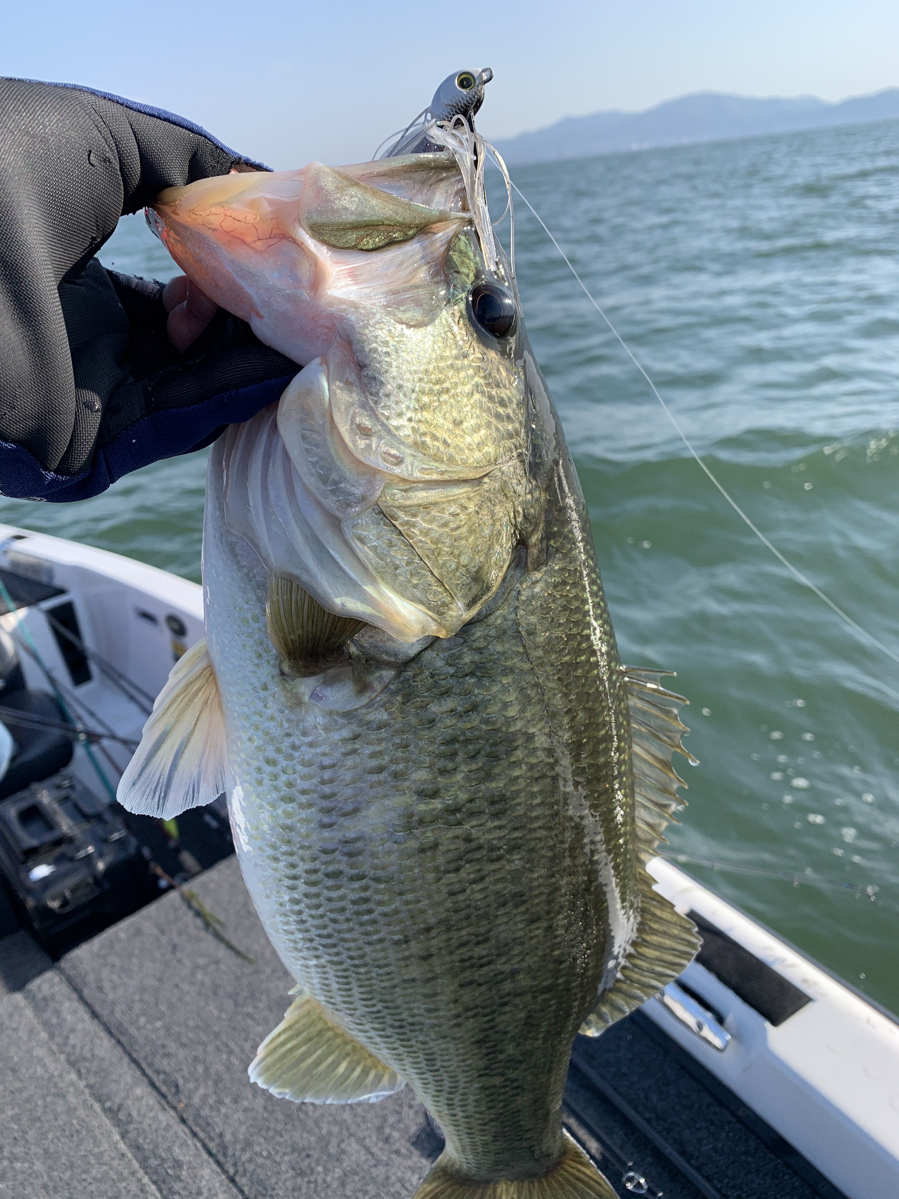 883D1B0A-0A12-422E-A132-64C185115AE6