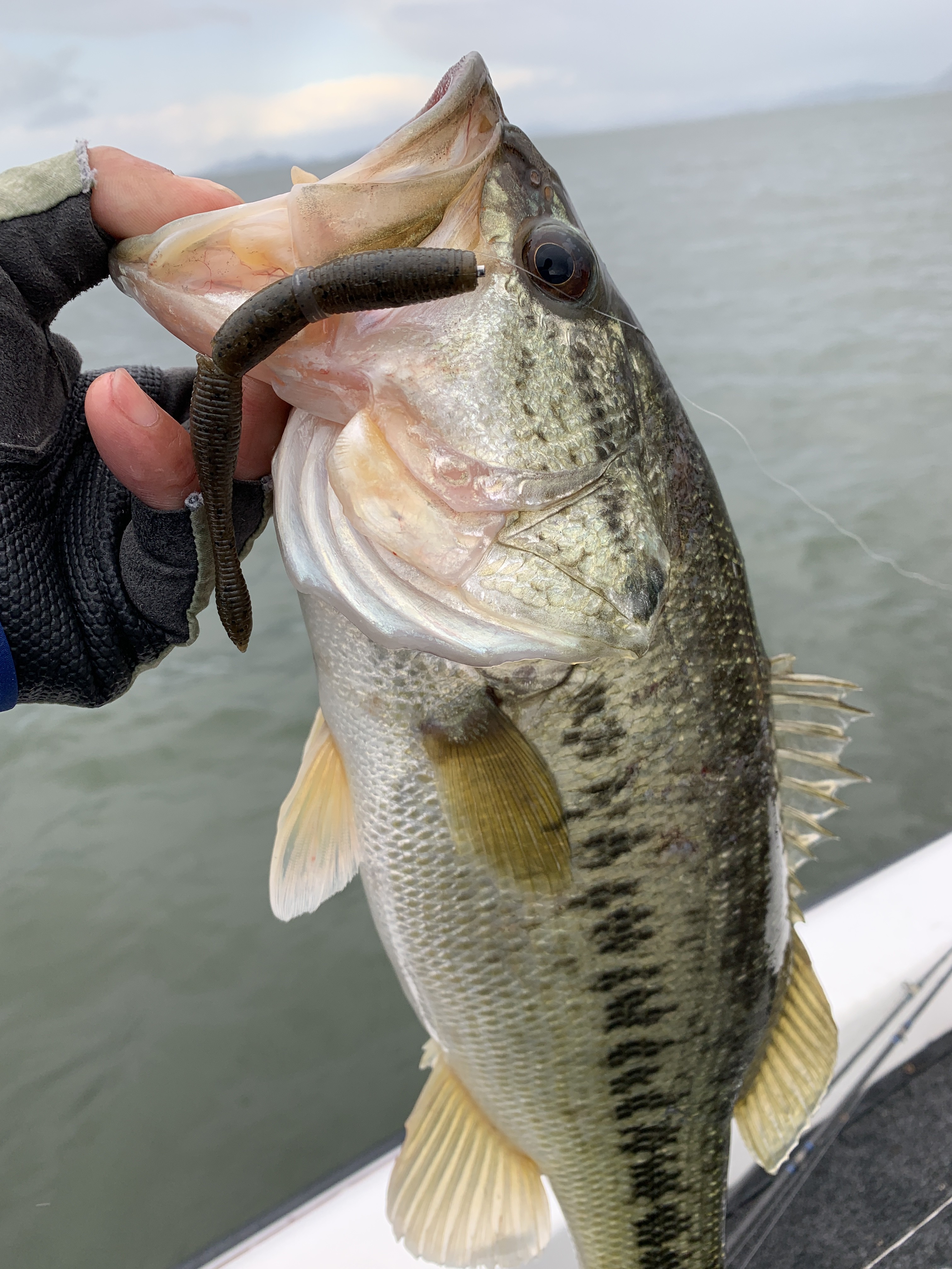 8B5138CA-F011-463B-8037-39C19997418E