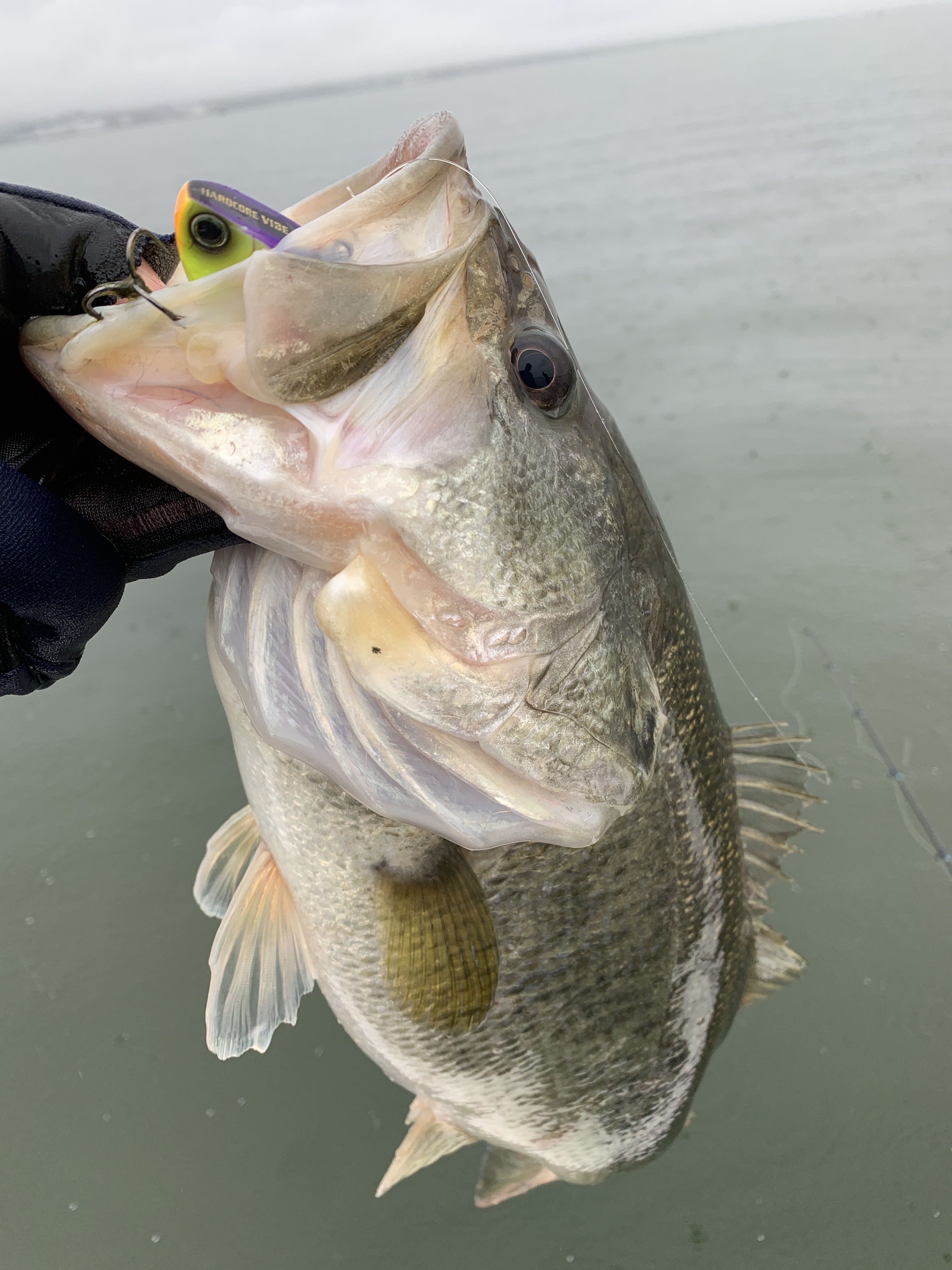 9BDEDC08-56D8-4174-81EE-D2FD4B0A82E7