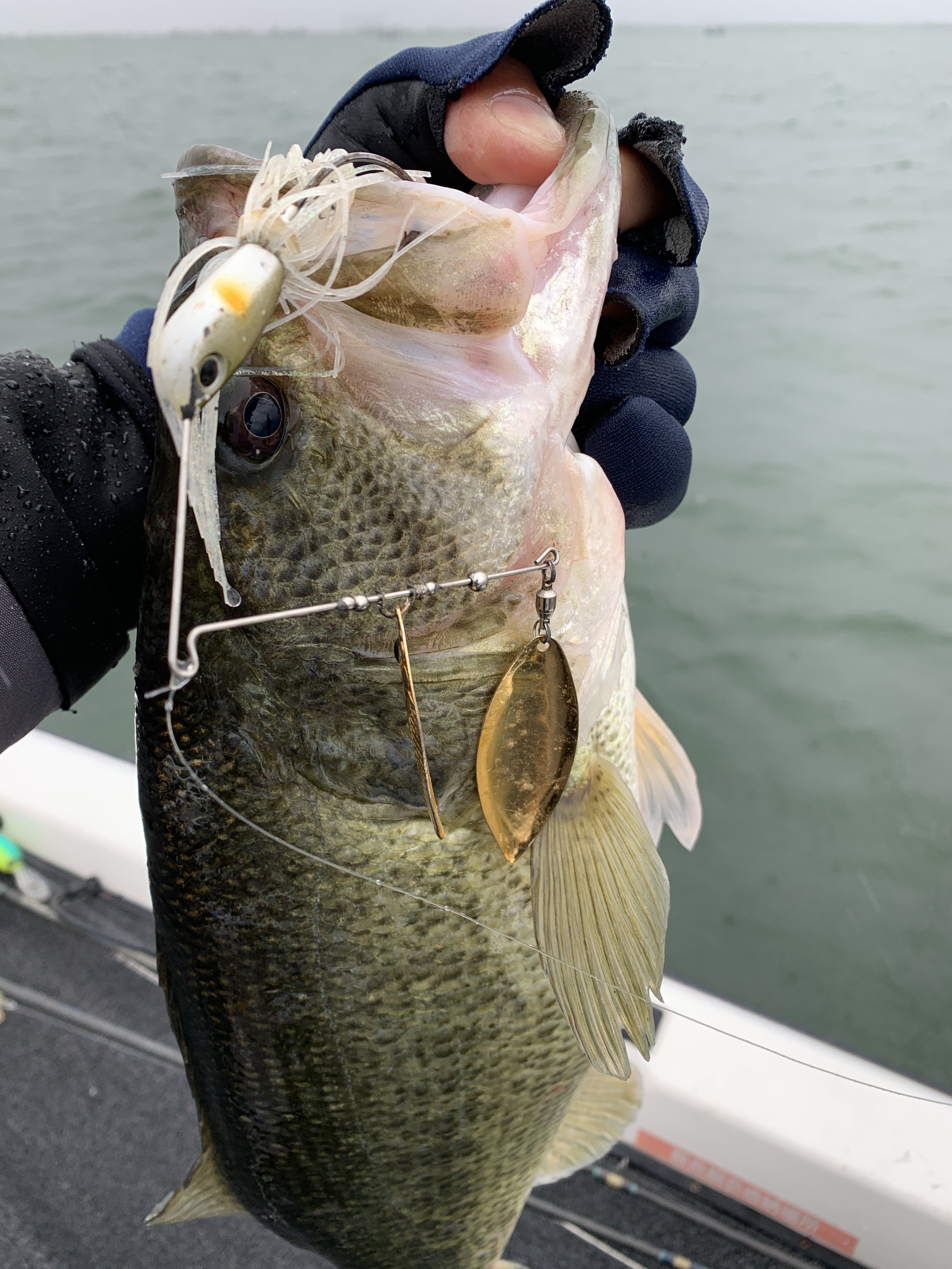 A67BCF30-35FF-4A60-9867-C265E1F6B887