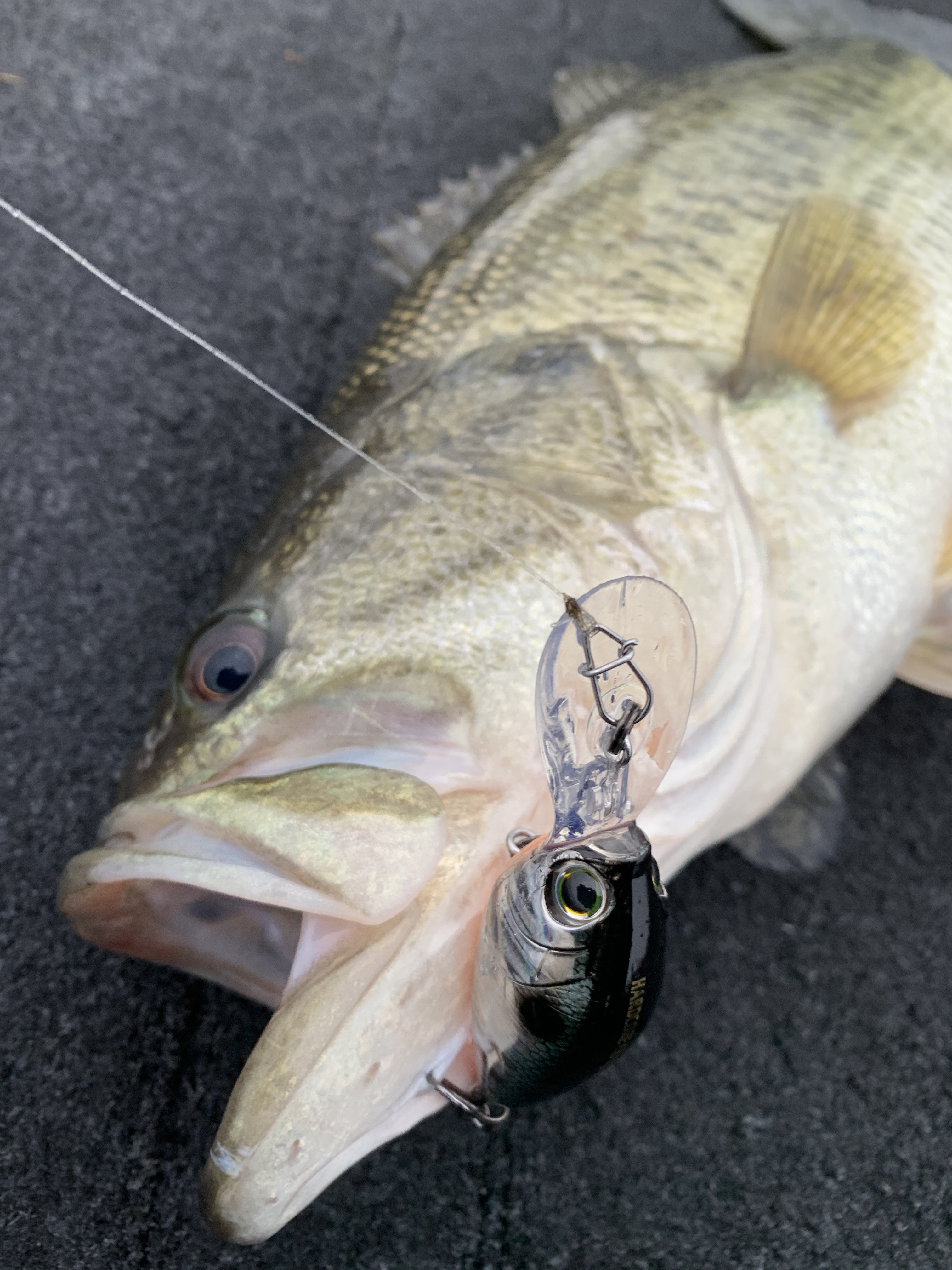 E46B7B82-527B-4E80-8650-F479FFC1836F