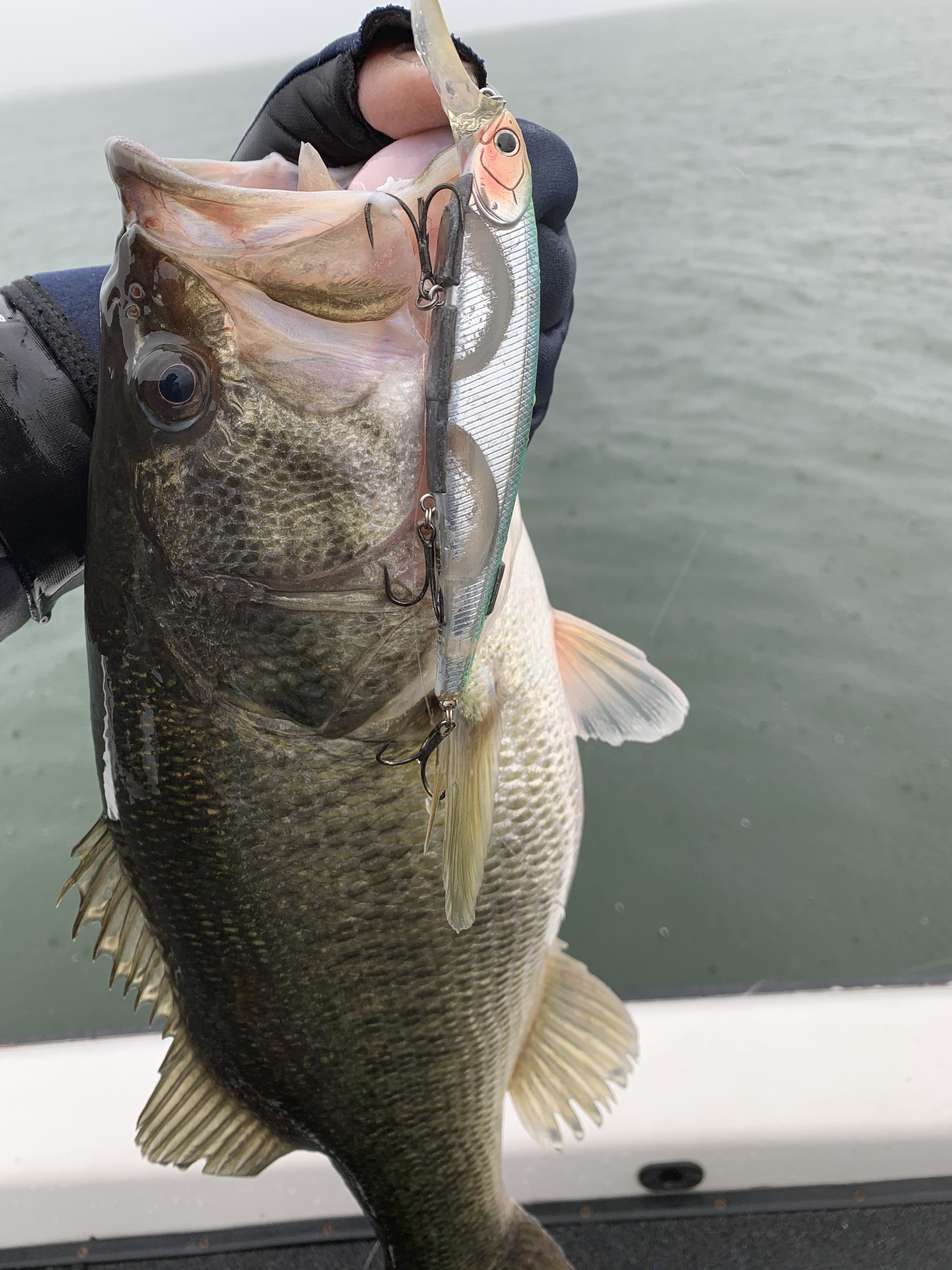 E902EEC3-F406-4DC0-8054-6CDFFCACF87F