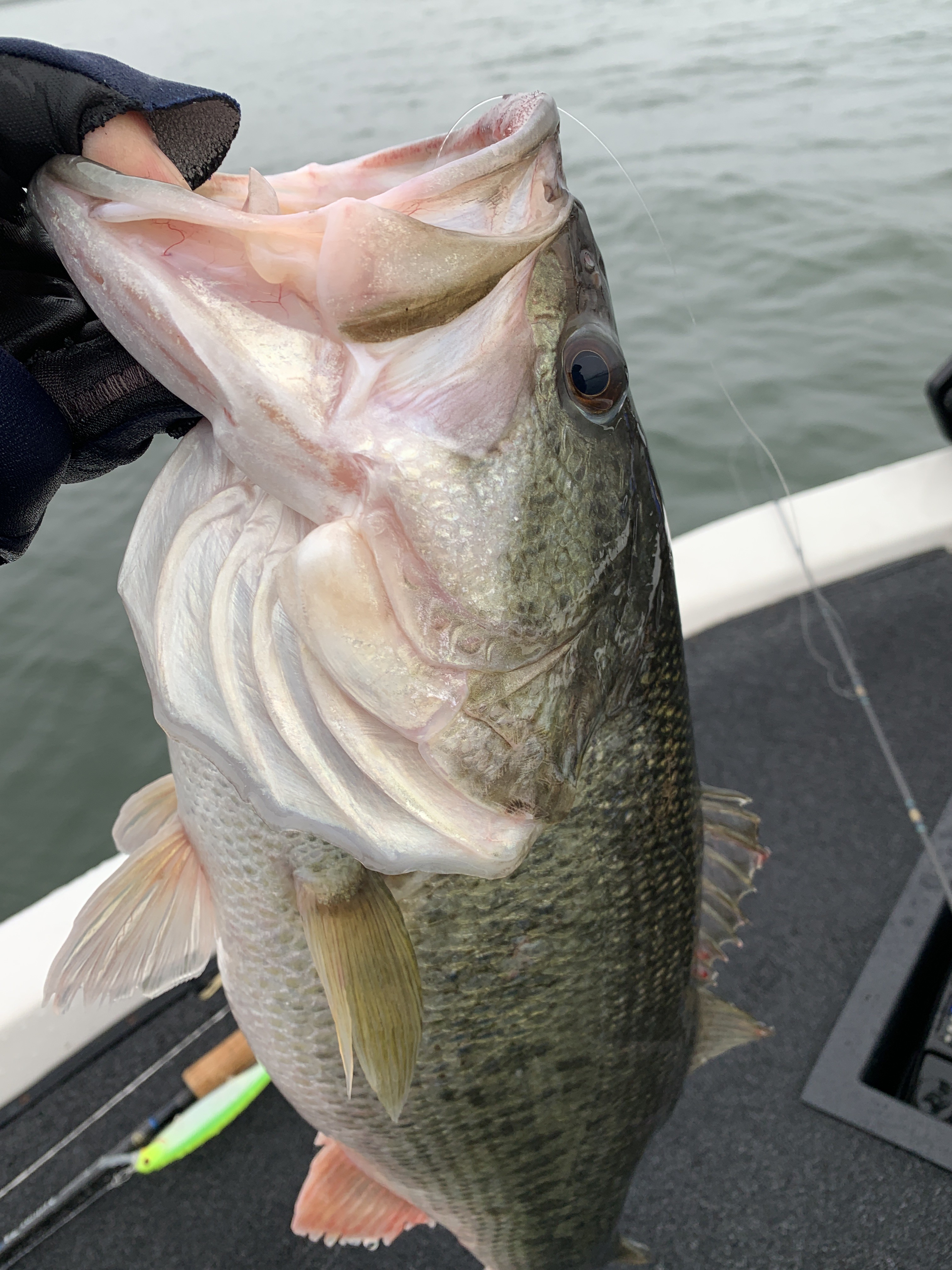 EF4E8EC5-3A3F-48EA-81ED-332FF37C251A