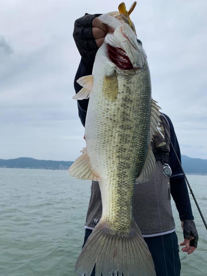 05C82D2C-91C3-4736-A8B1-B5A6C6737AC4