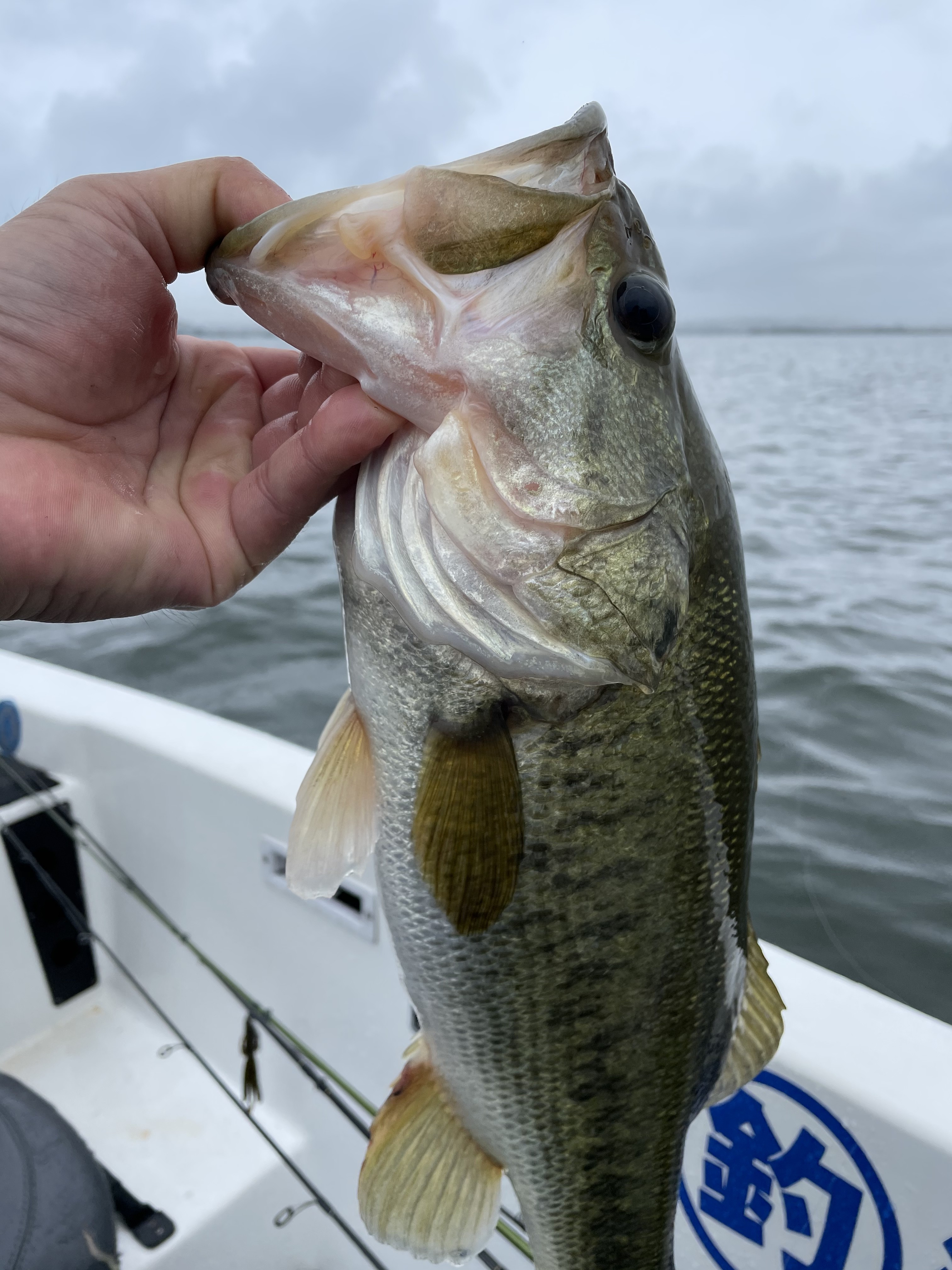 078A63E8-2621-4B86-878E-09E818358B1B