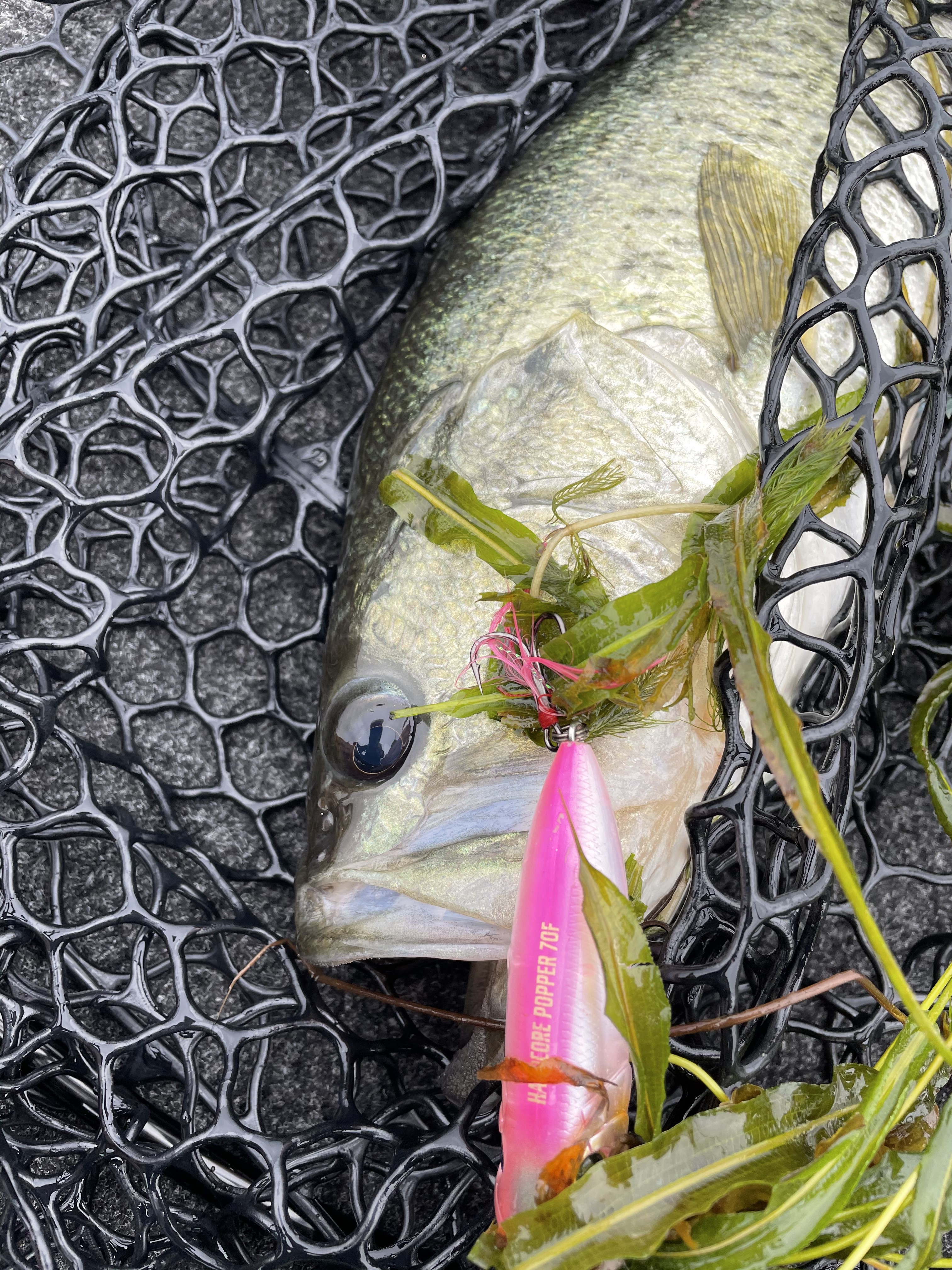 07CF6B9D-E235-4887-84C4-127F977ABA62