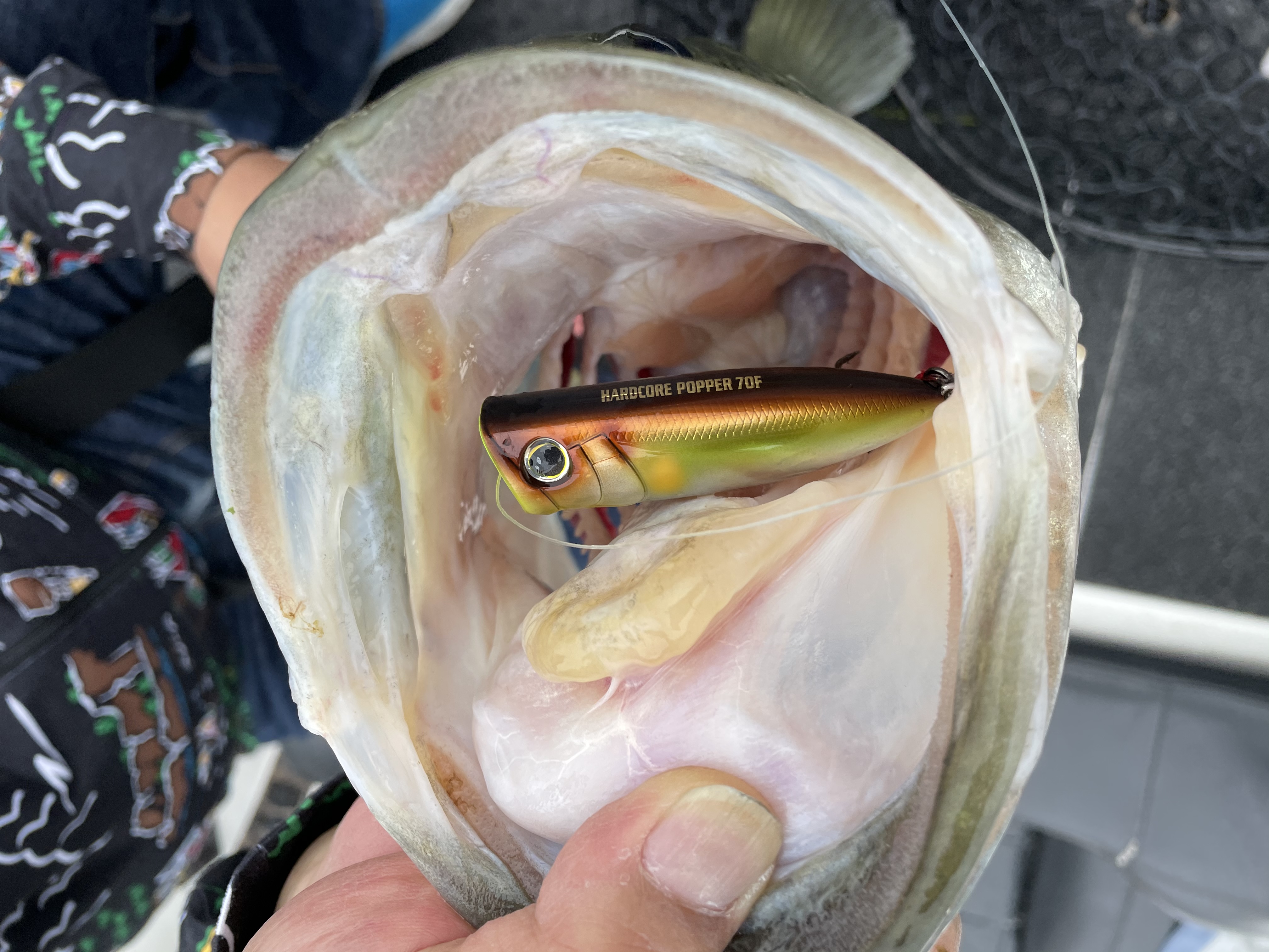 0875E3E6-242D-443F-8783-D36B72278980