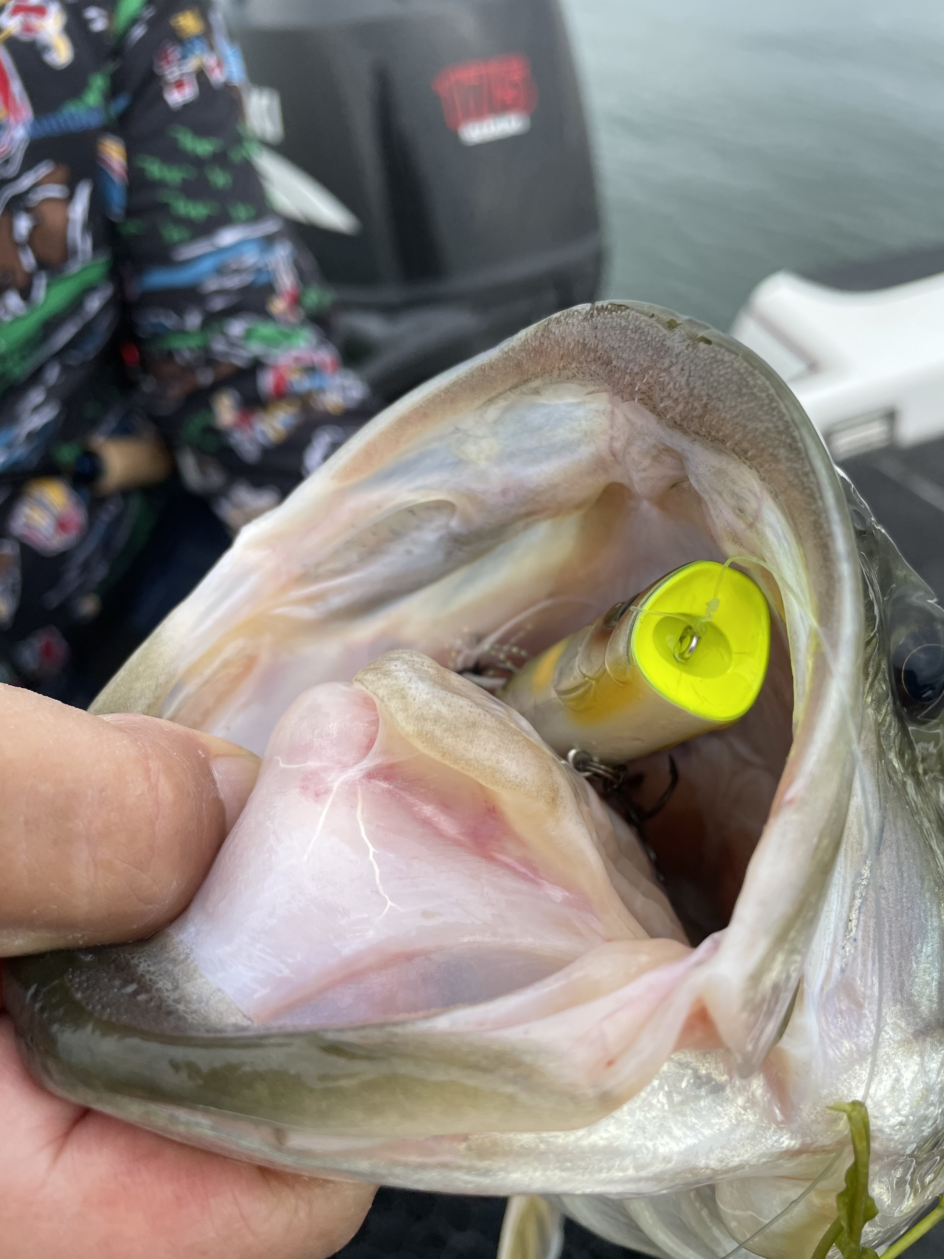 0FD5FEC4-65B7-40AA-A788-18088B87BC2B