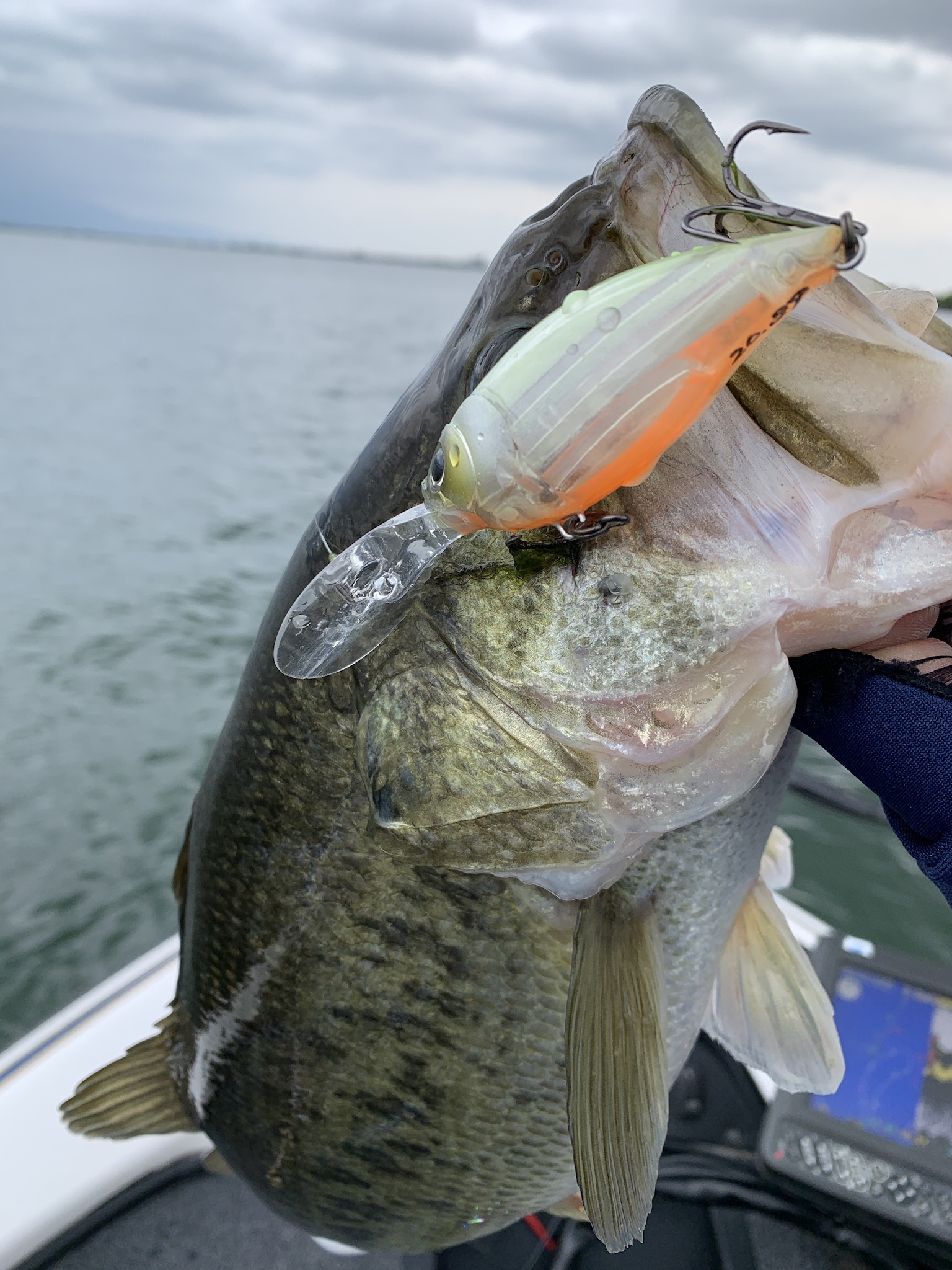 157E3784-3463-4299-85BC-858646E49684