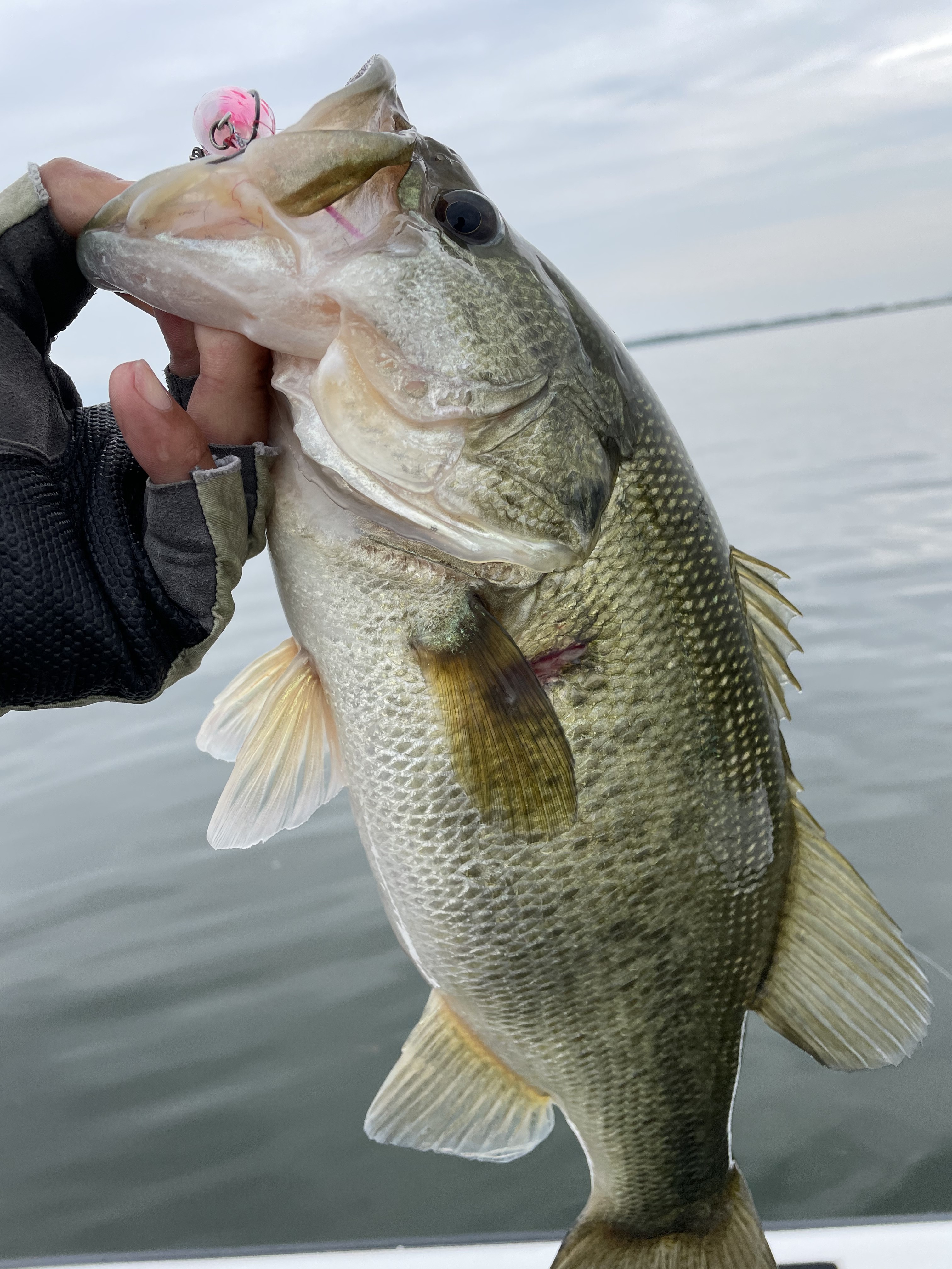 18A4D53A-77FC-45FE-BB87-8383C7FA756D