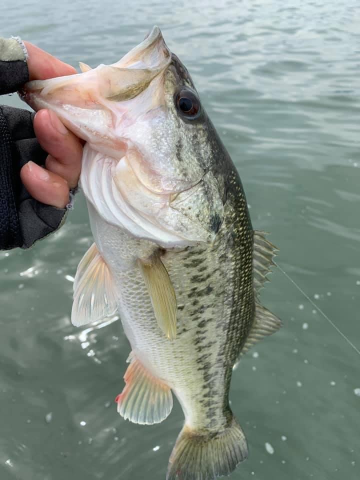 1C66A786-1BCB-4079-AF80-79058A566402