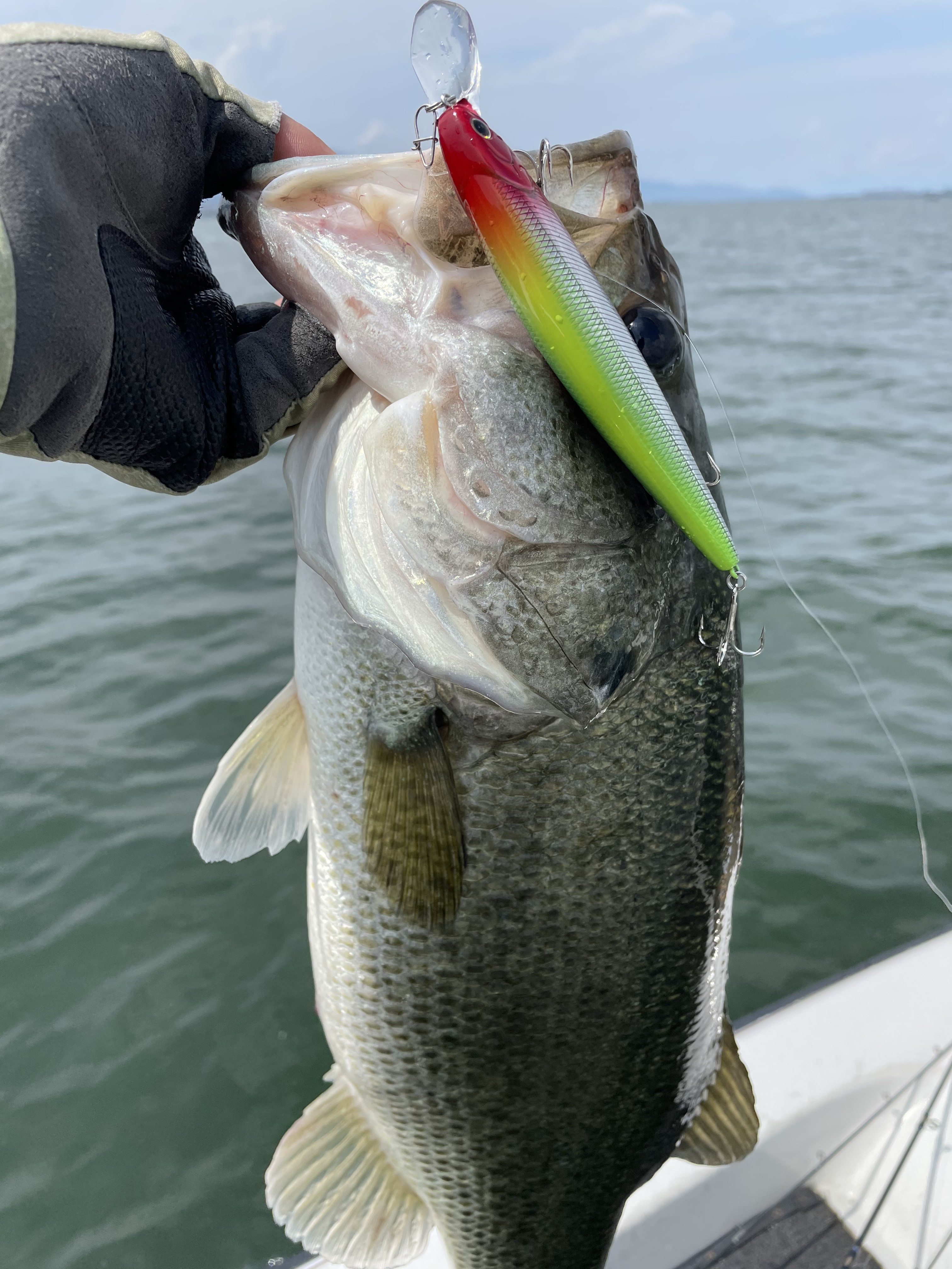 261A62F3-6CFC-4C12-ADB5-EC5C7C586165