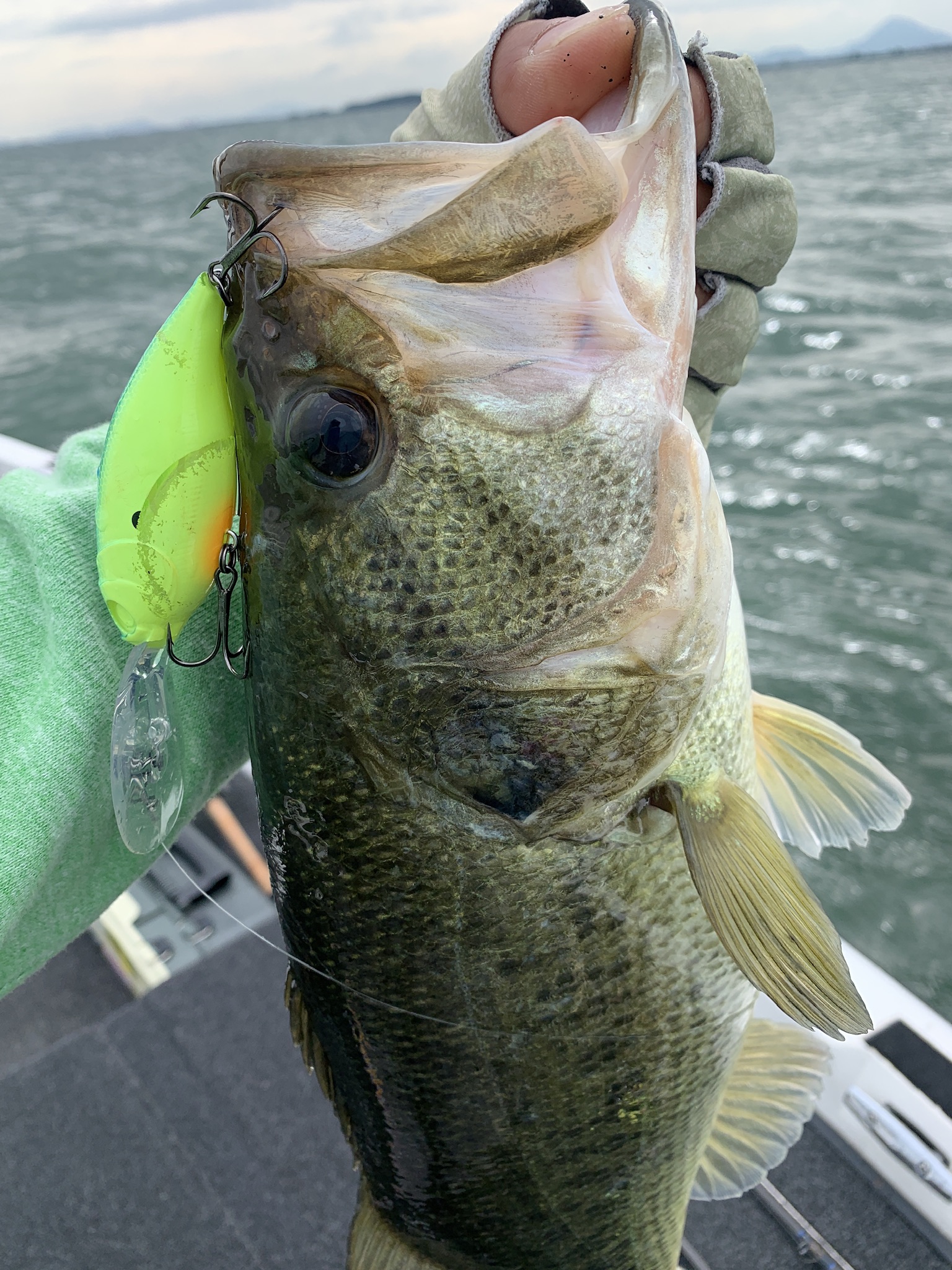 2E733934-06B8-44CD-907C-0533E7CFBEFA