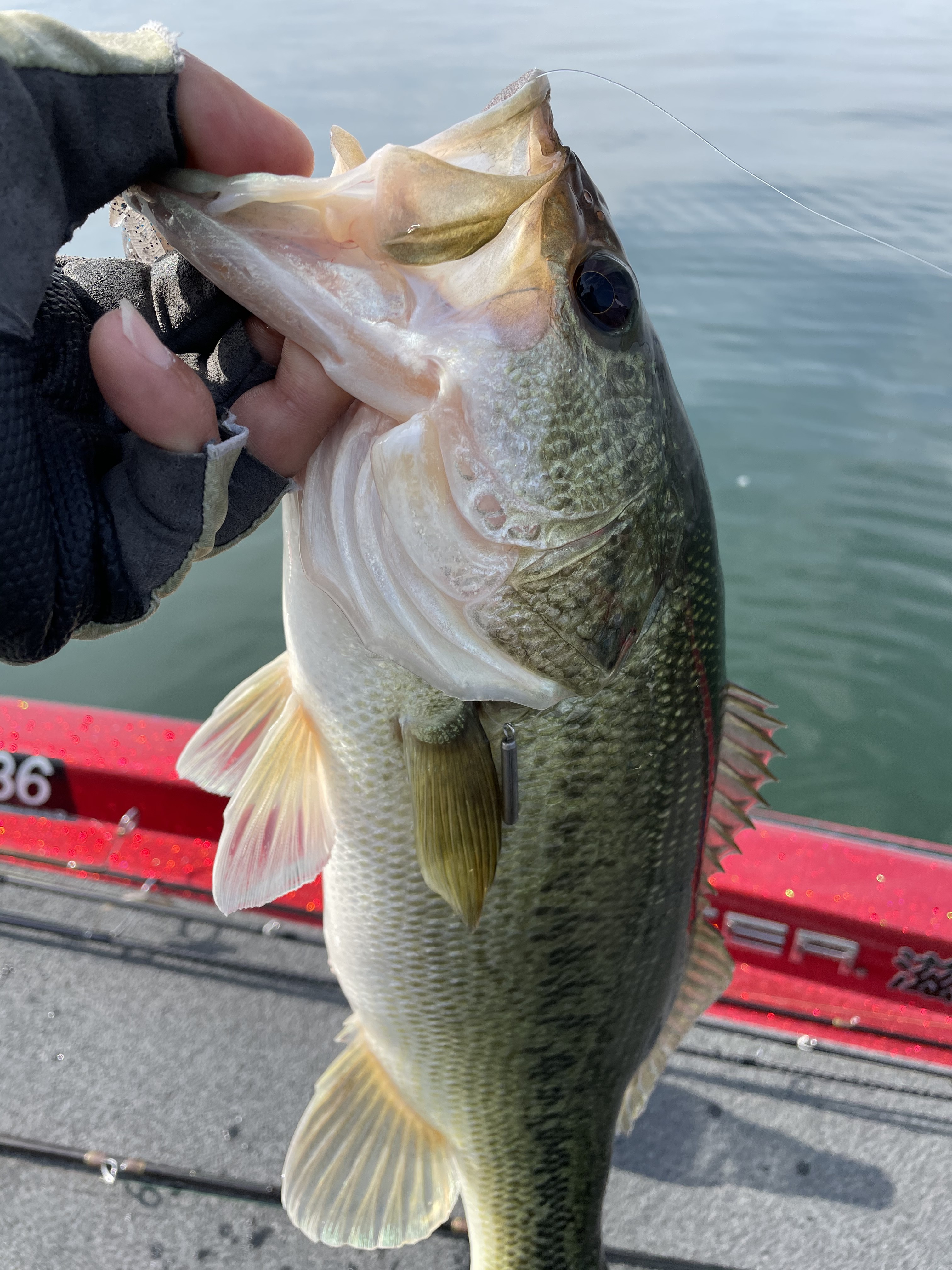 358DADA0-BCB8-45A6-A723-6E1FA7C5A1CD