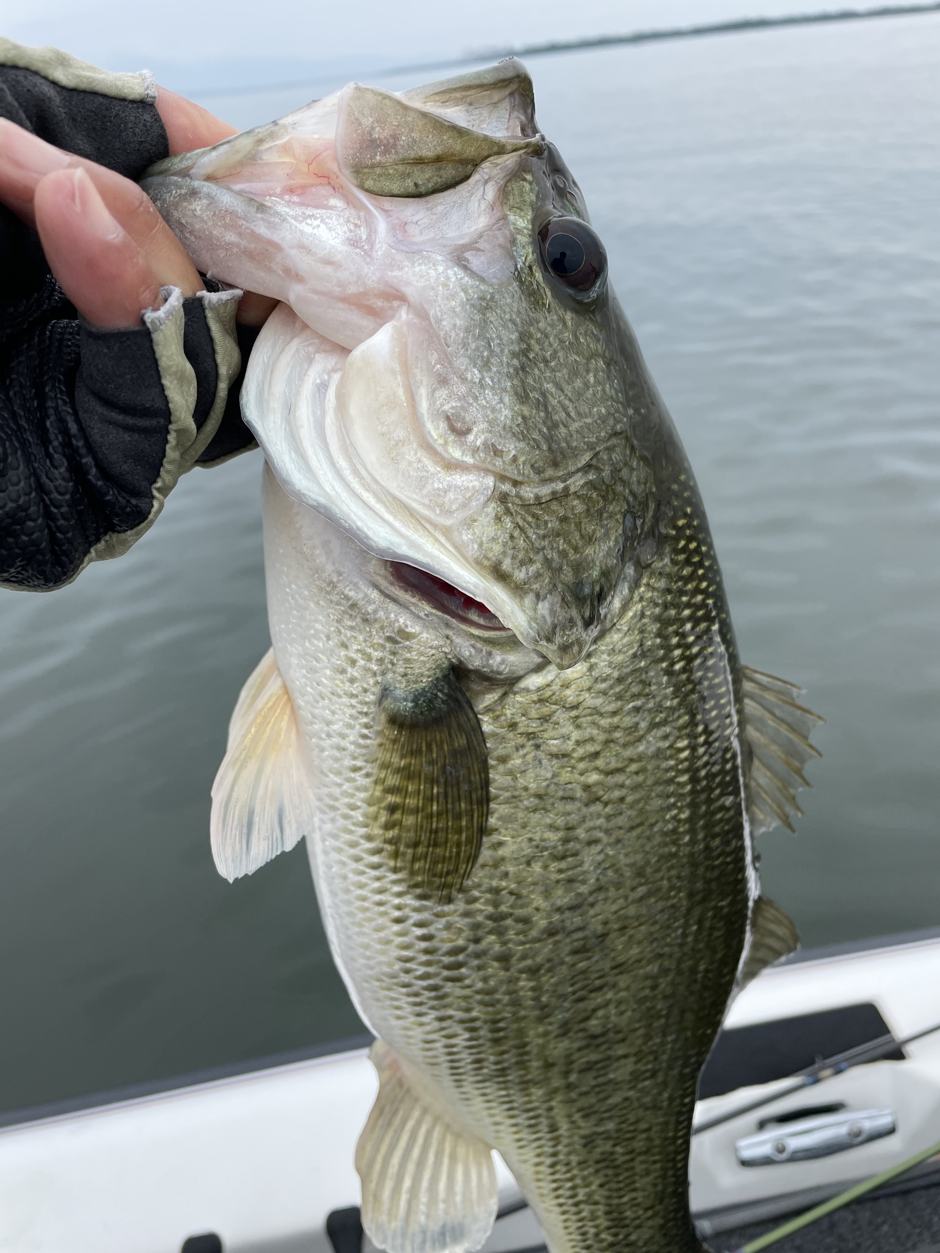 3F49F822-CCAC-4E5E-AA52-FB2C048C5533