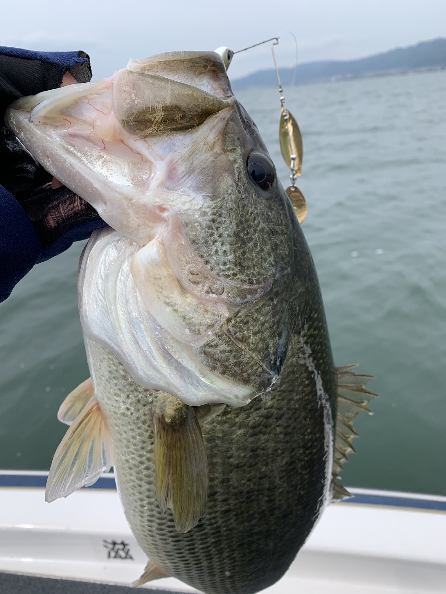 4276E0BB-9495-481C-94A3-C582A0B23A7B