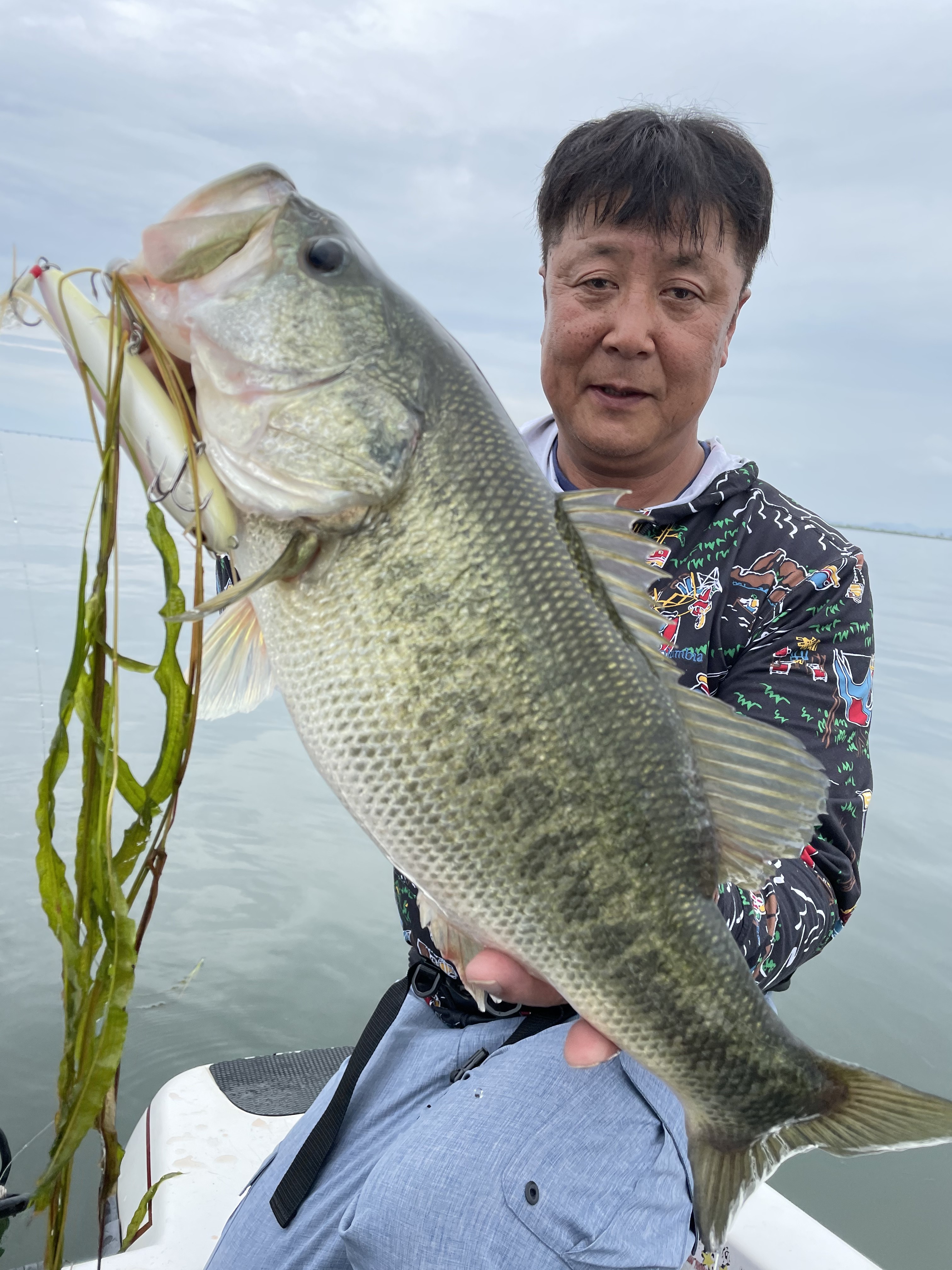 525C096C-95B5-4FDC-950D-87C7297C257C