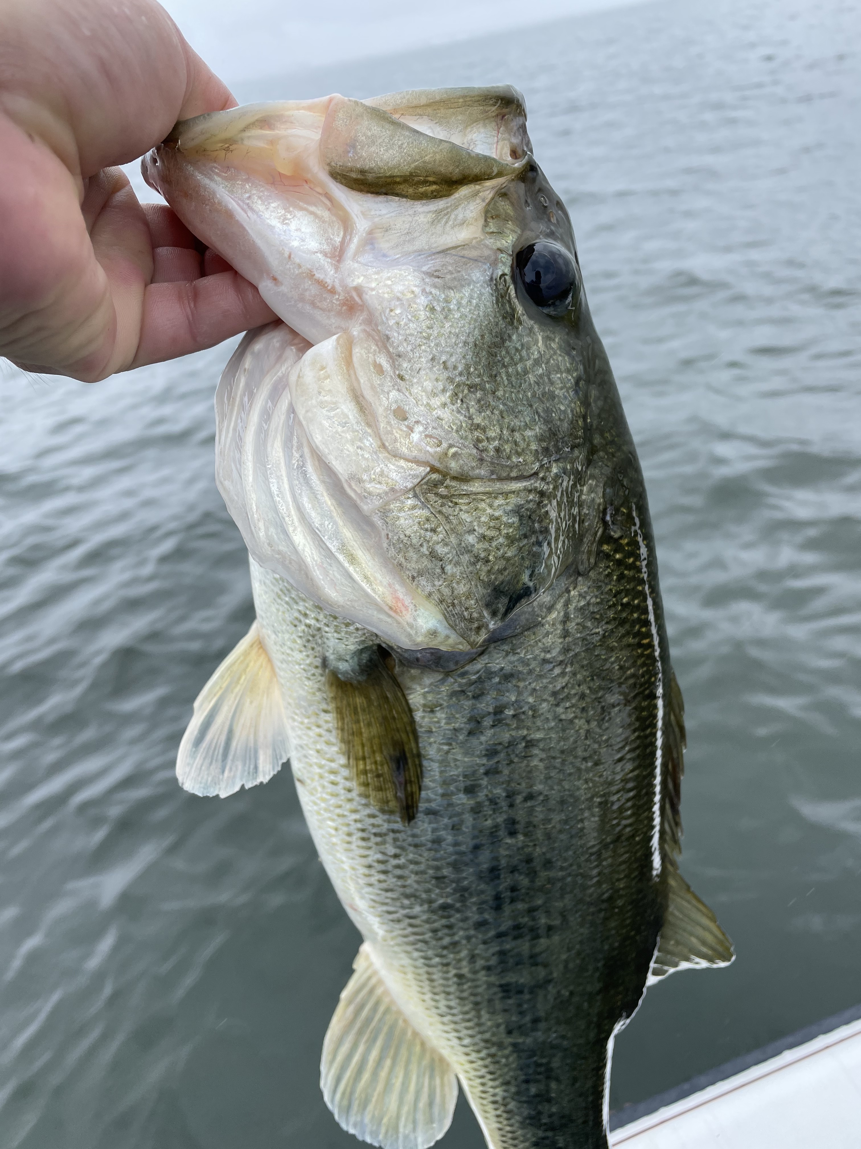 528607C7-0B72-4D86-9B8F-D4AD39424297