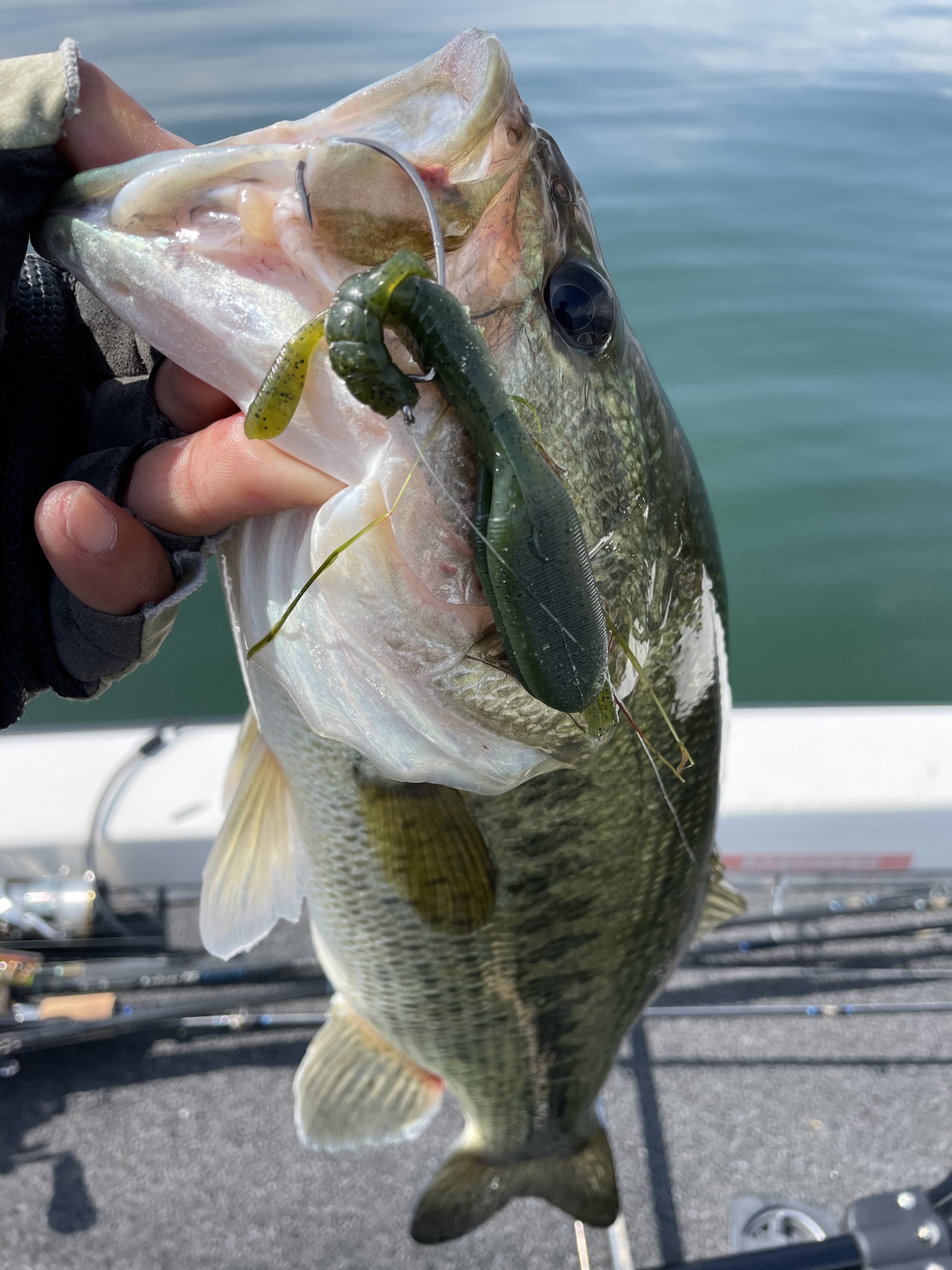 56EDEB15-B897-4E6E-8D66-E987BE87F3A7