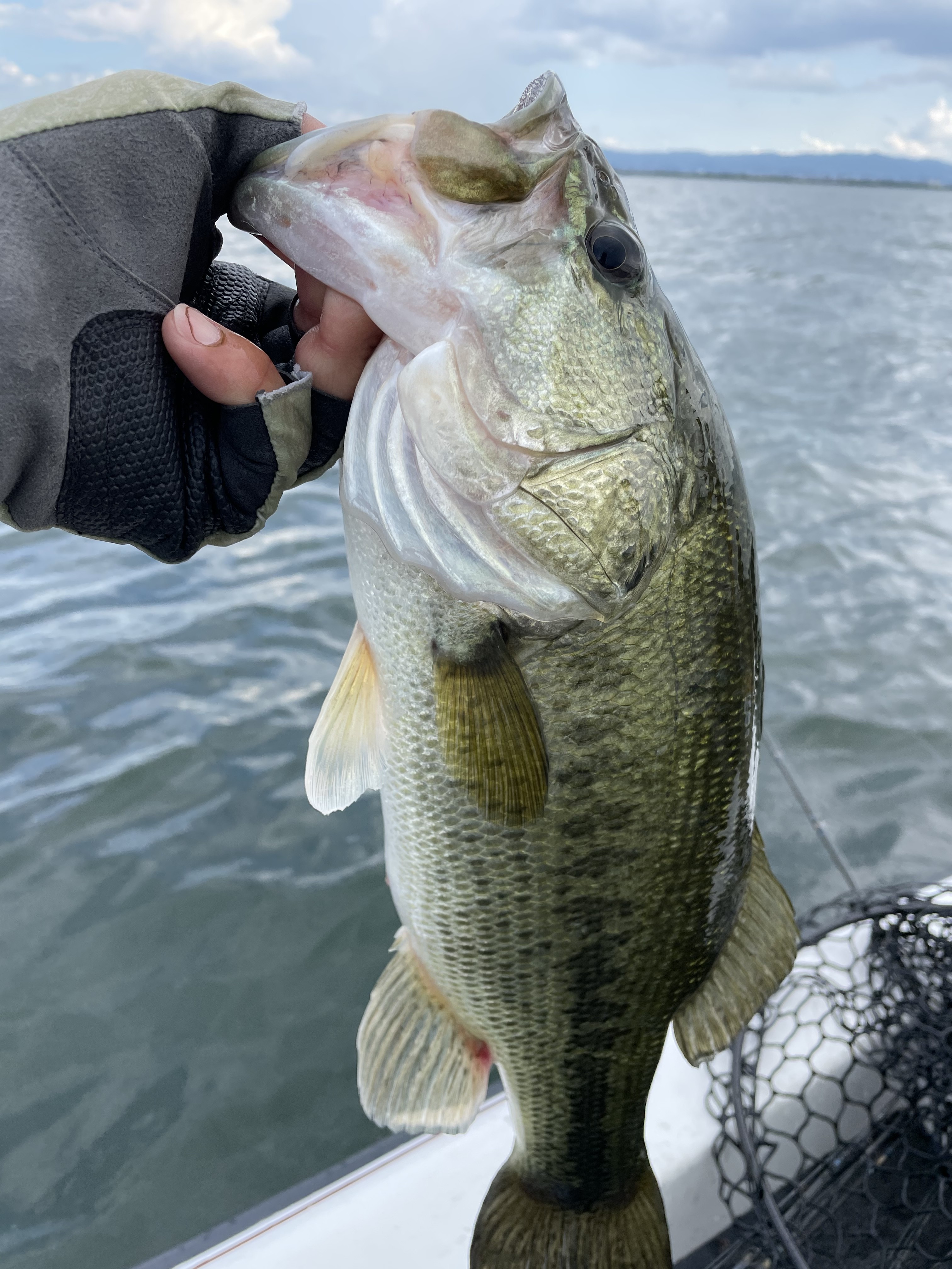 5BB07C84-5FD3-4705-A7EA-63B52FA6E62C