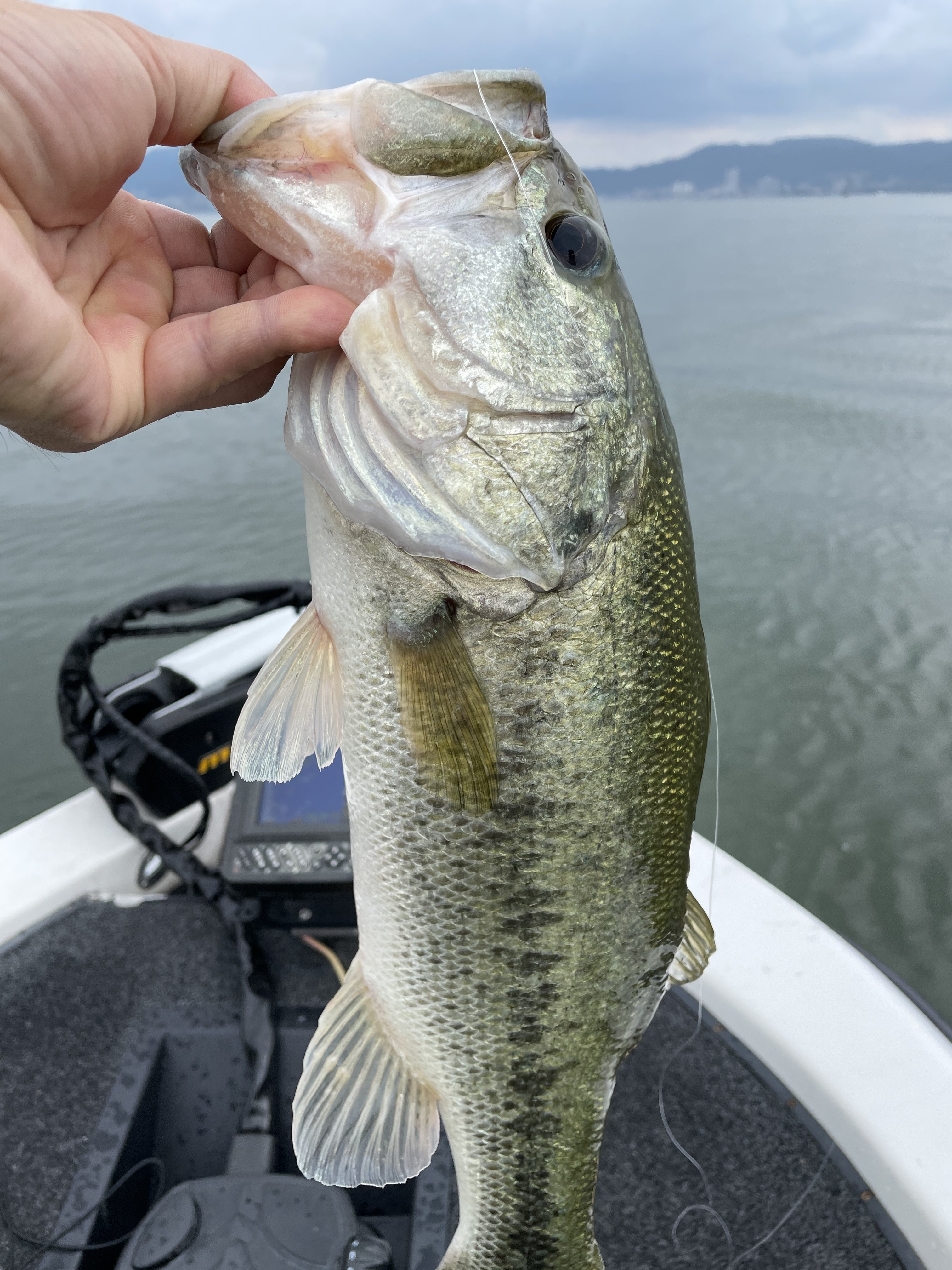 5C935A02-0103-48A5-BF75-149C4E3BE5F4