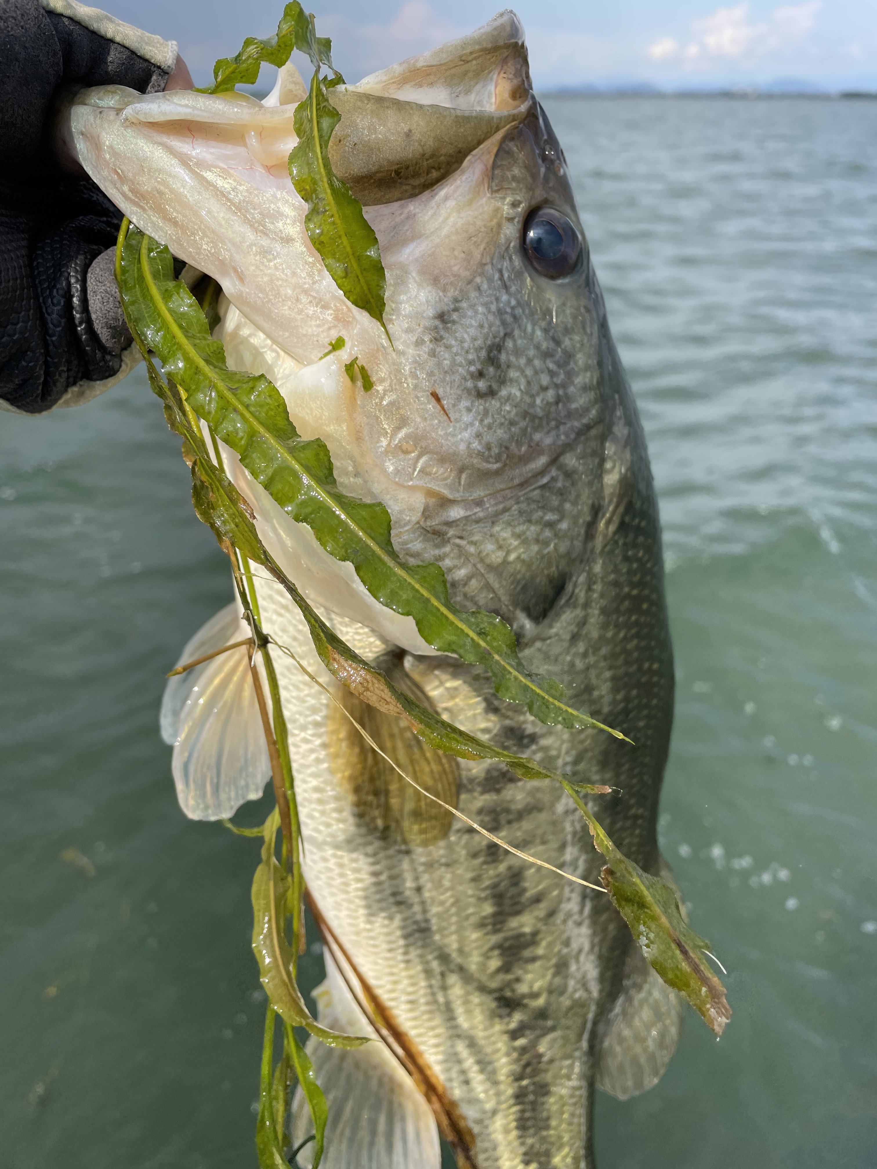 63F64937-4D65-45F3-BBB0-8611F9FC8267