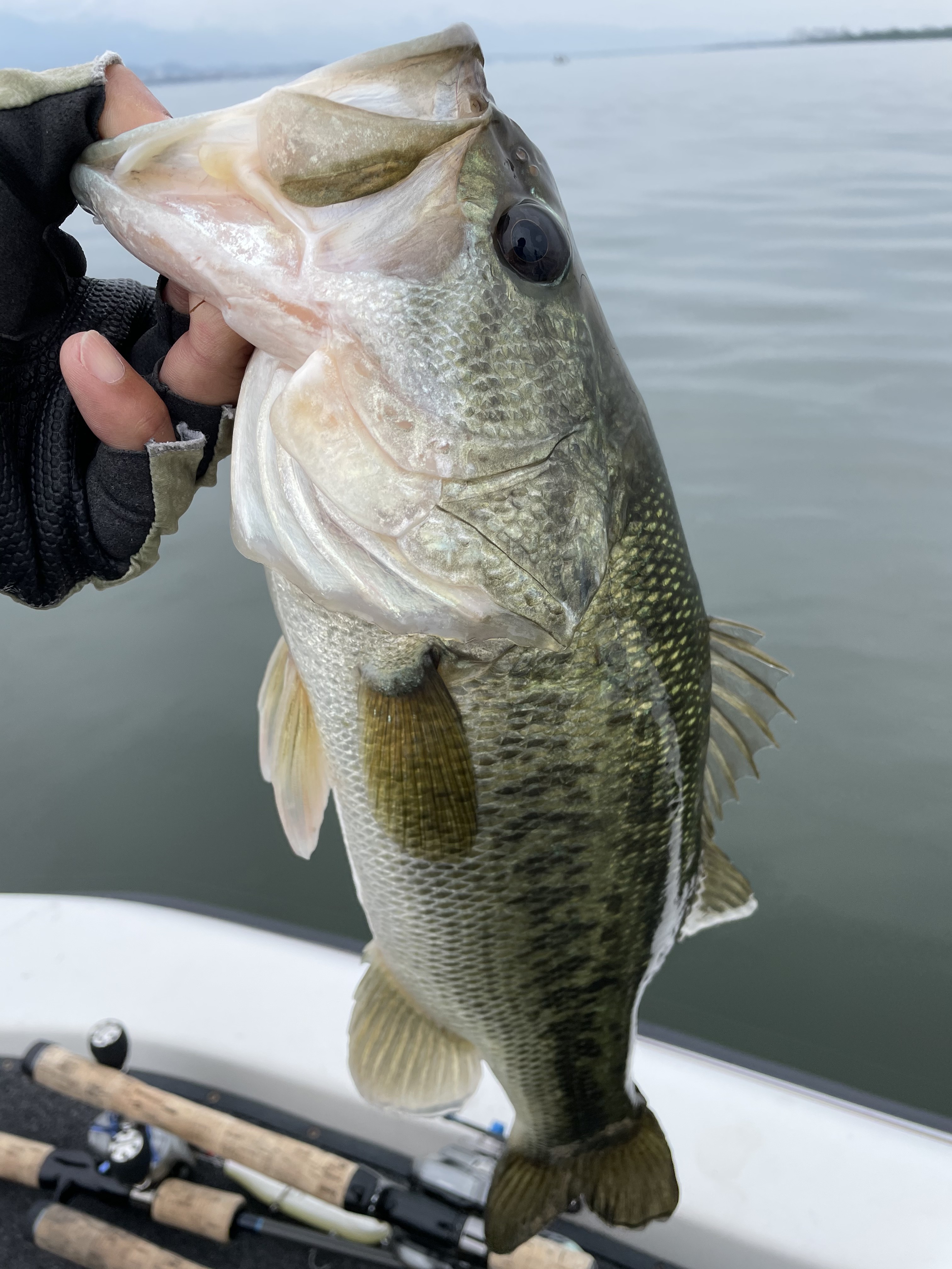 64BDEBA9-B84C-4525-A13B-580AC9A61719